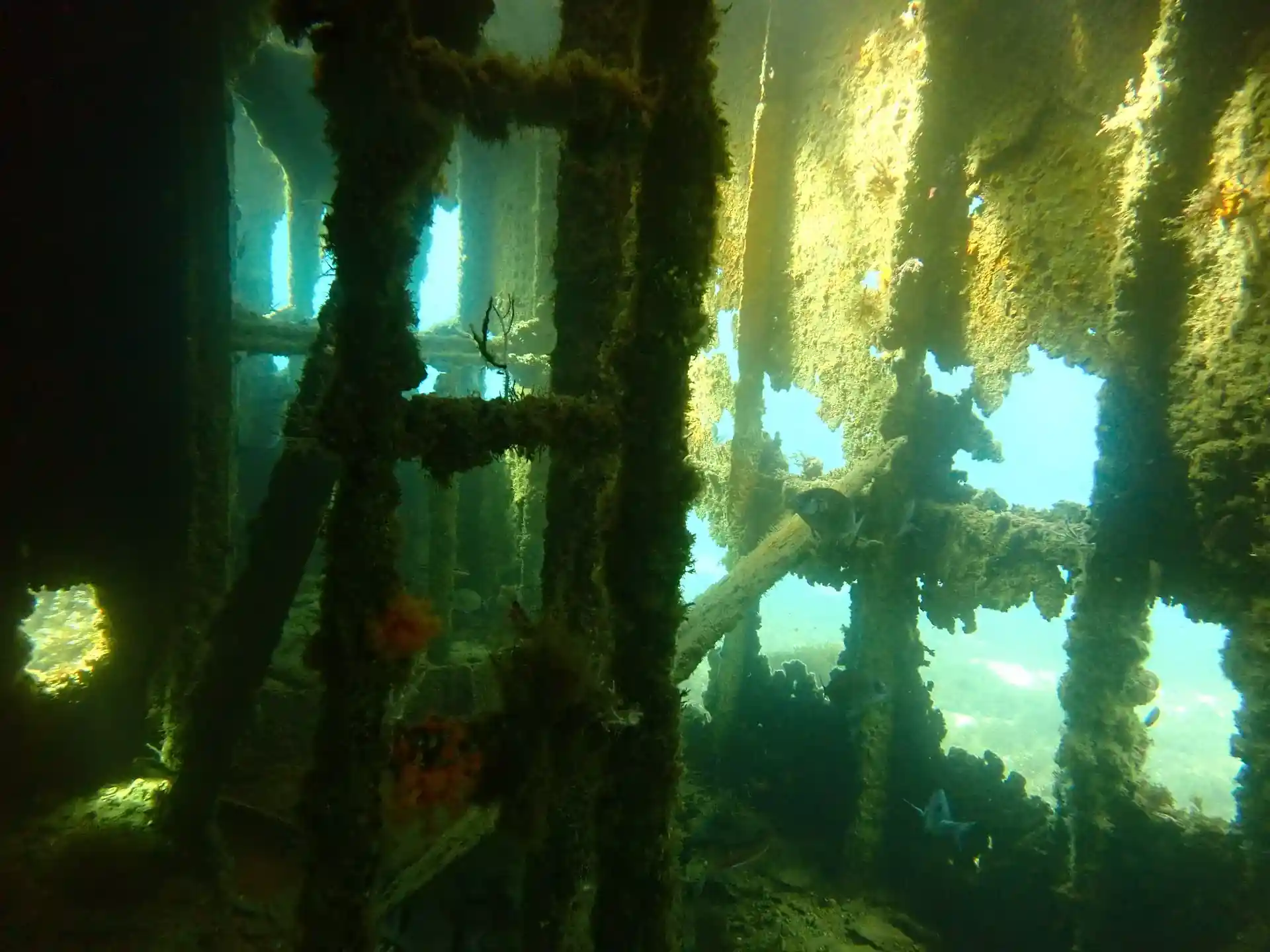 Dive site photo