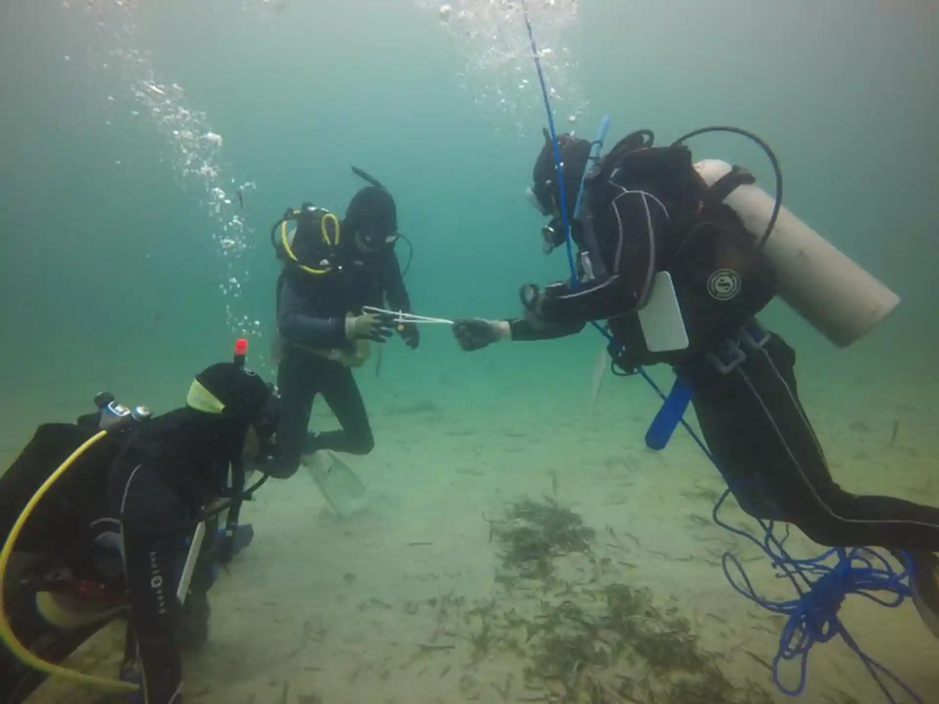 ダイビングサイトの写真