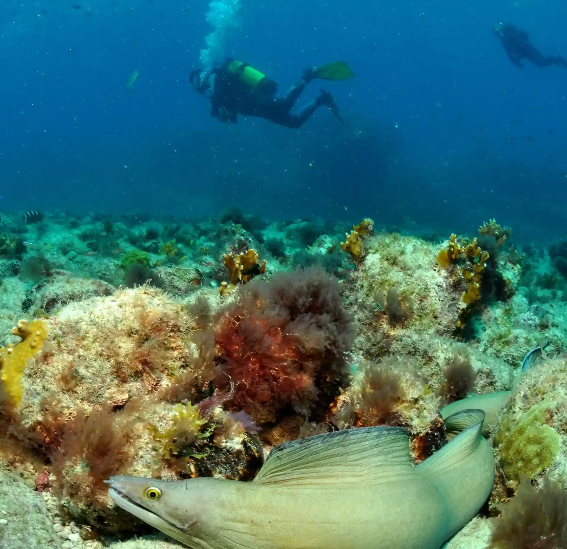 Photo du site de plongée