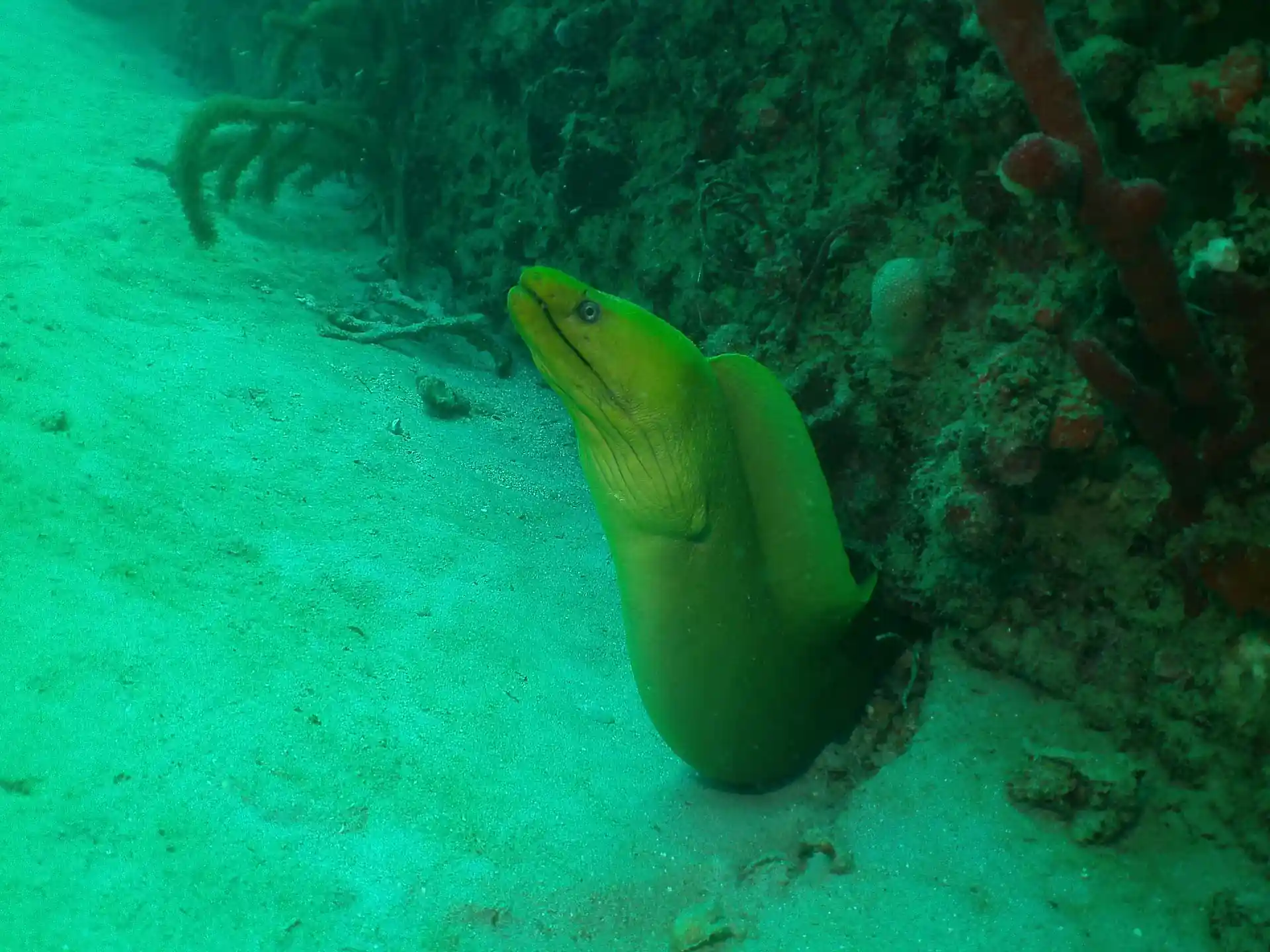 Dive site photo