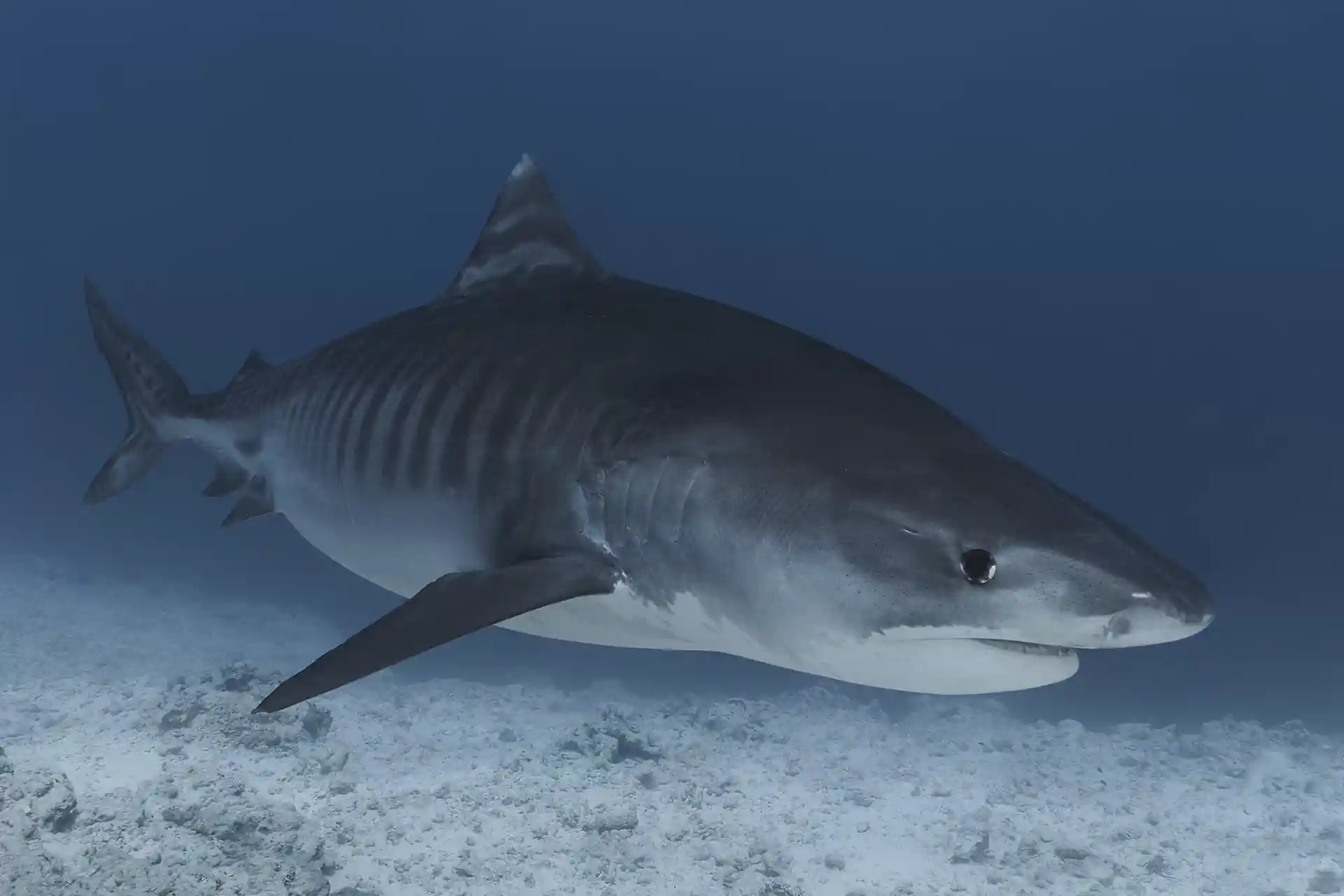 Dive site photo