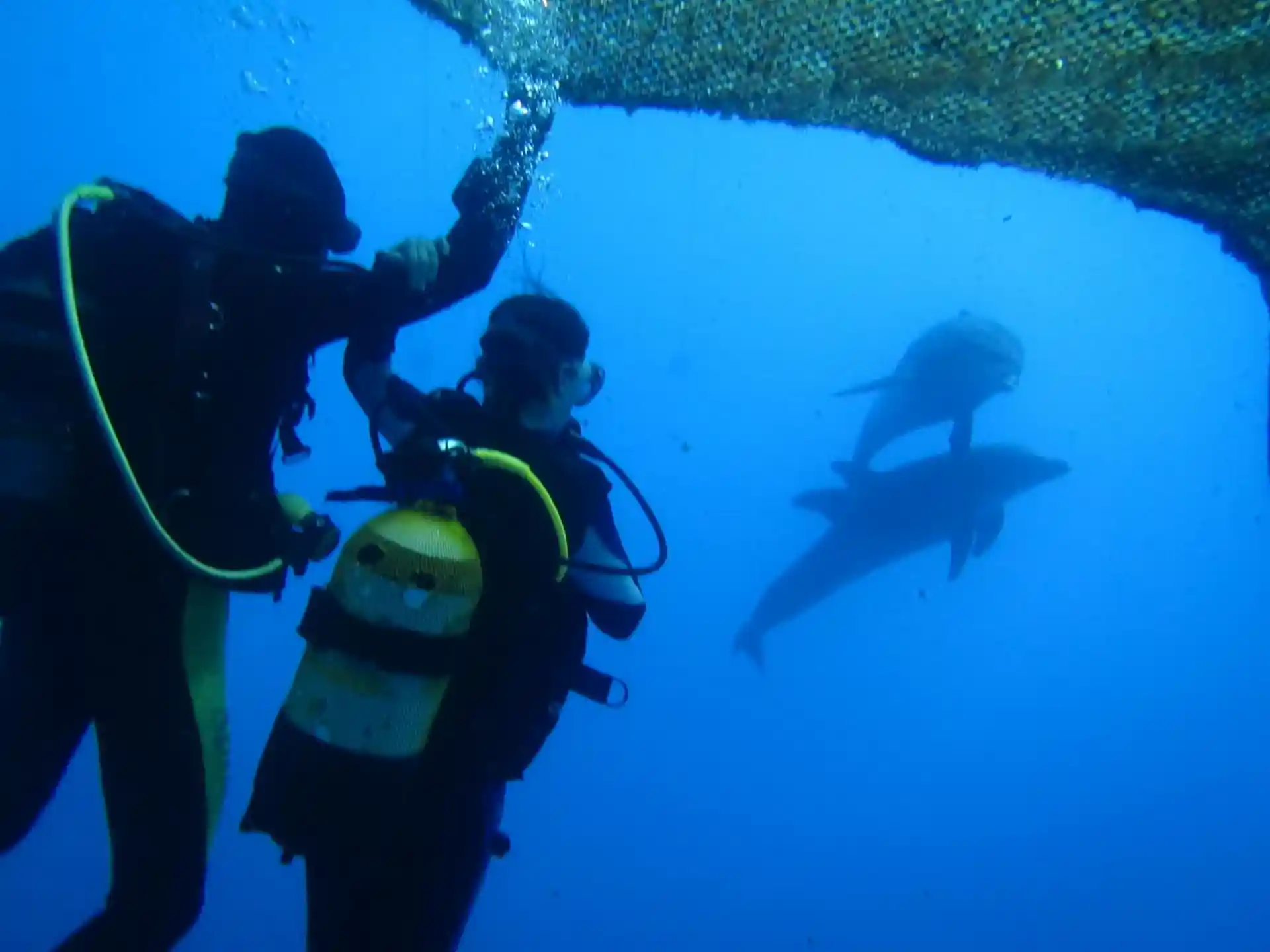 Foto des Tauchplatzes