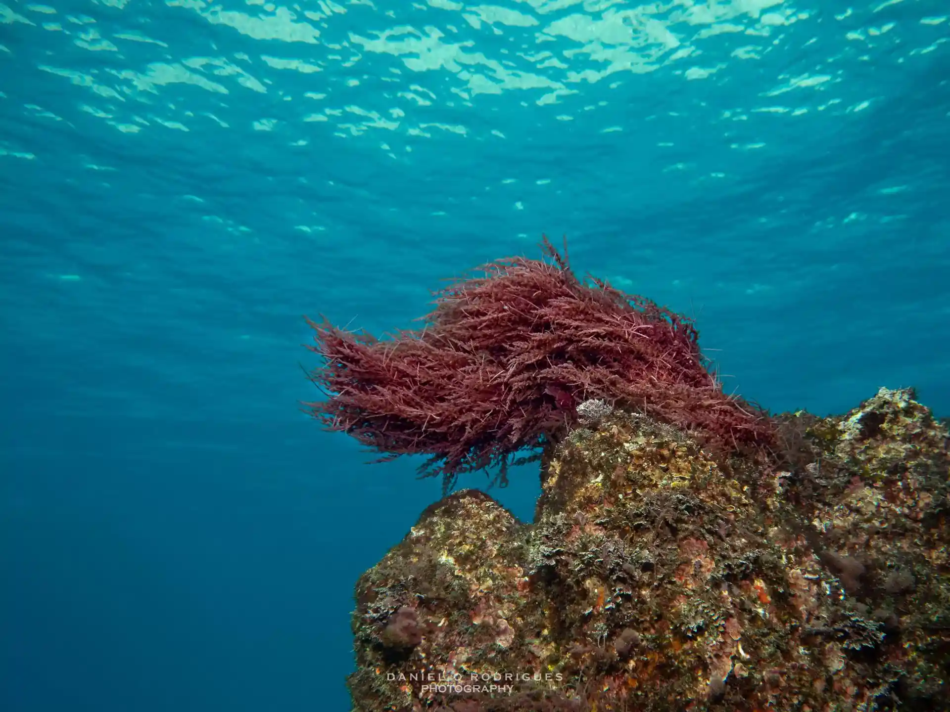 Dive site photo