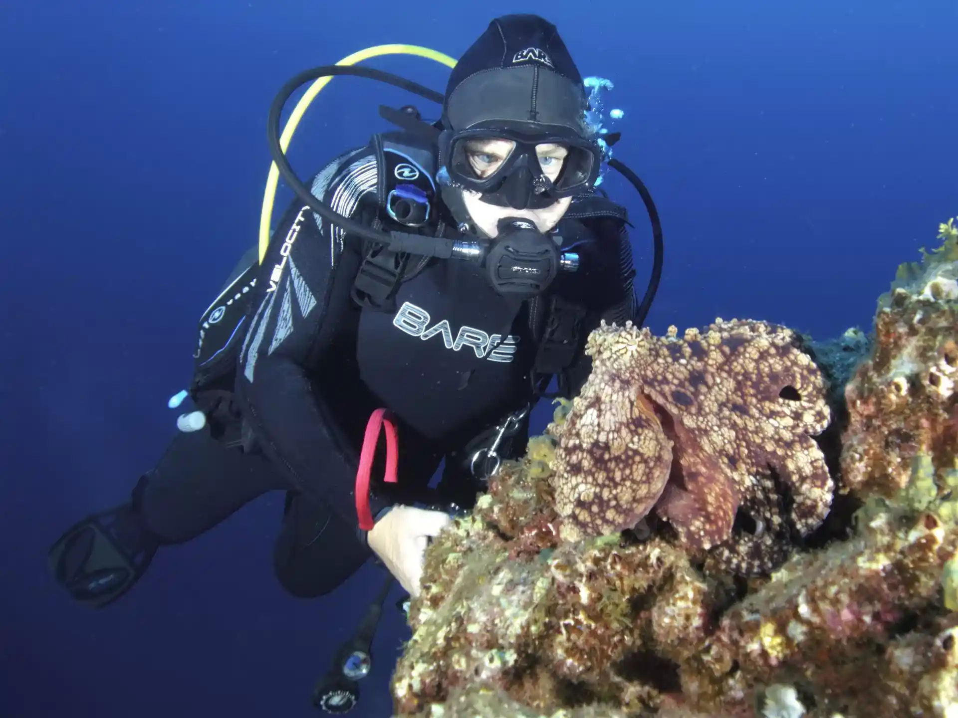Foto del sitio de buceo