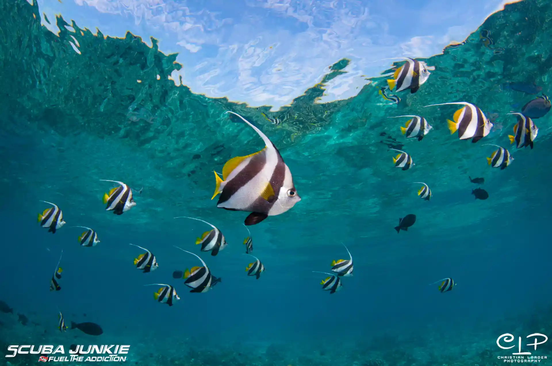 Photo de l'activité