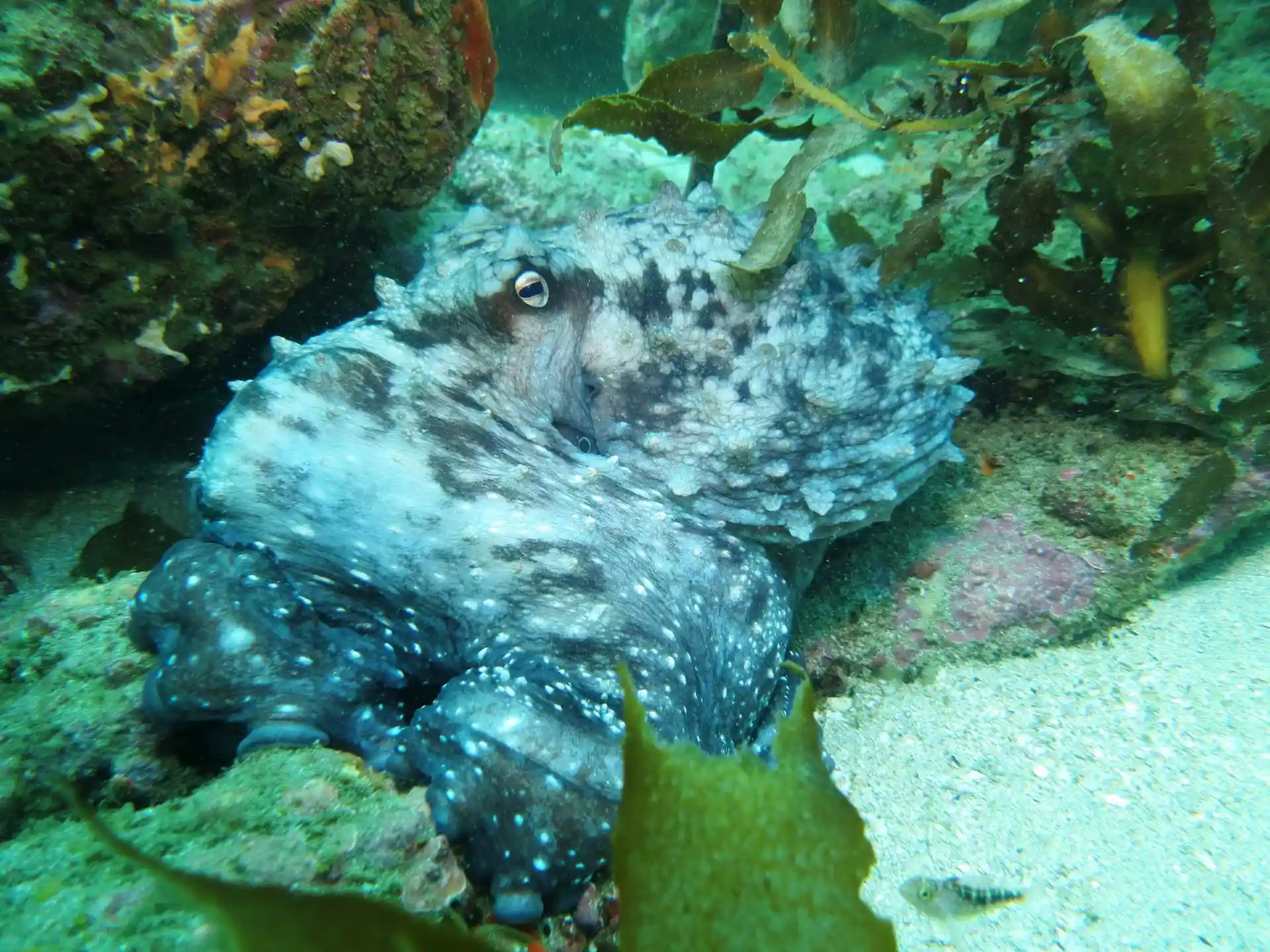 다이빙 포인트 사진