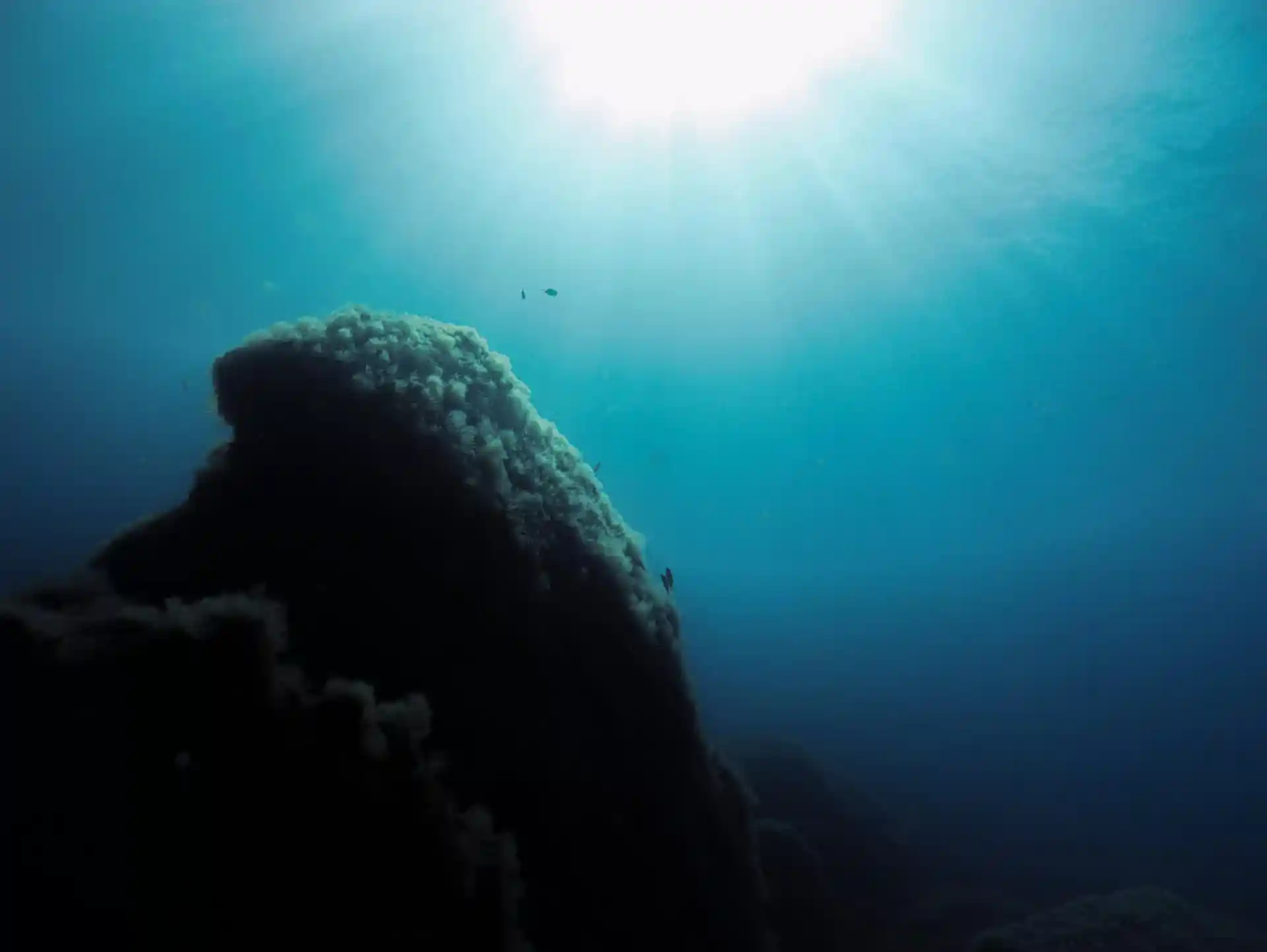Dive shop photo