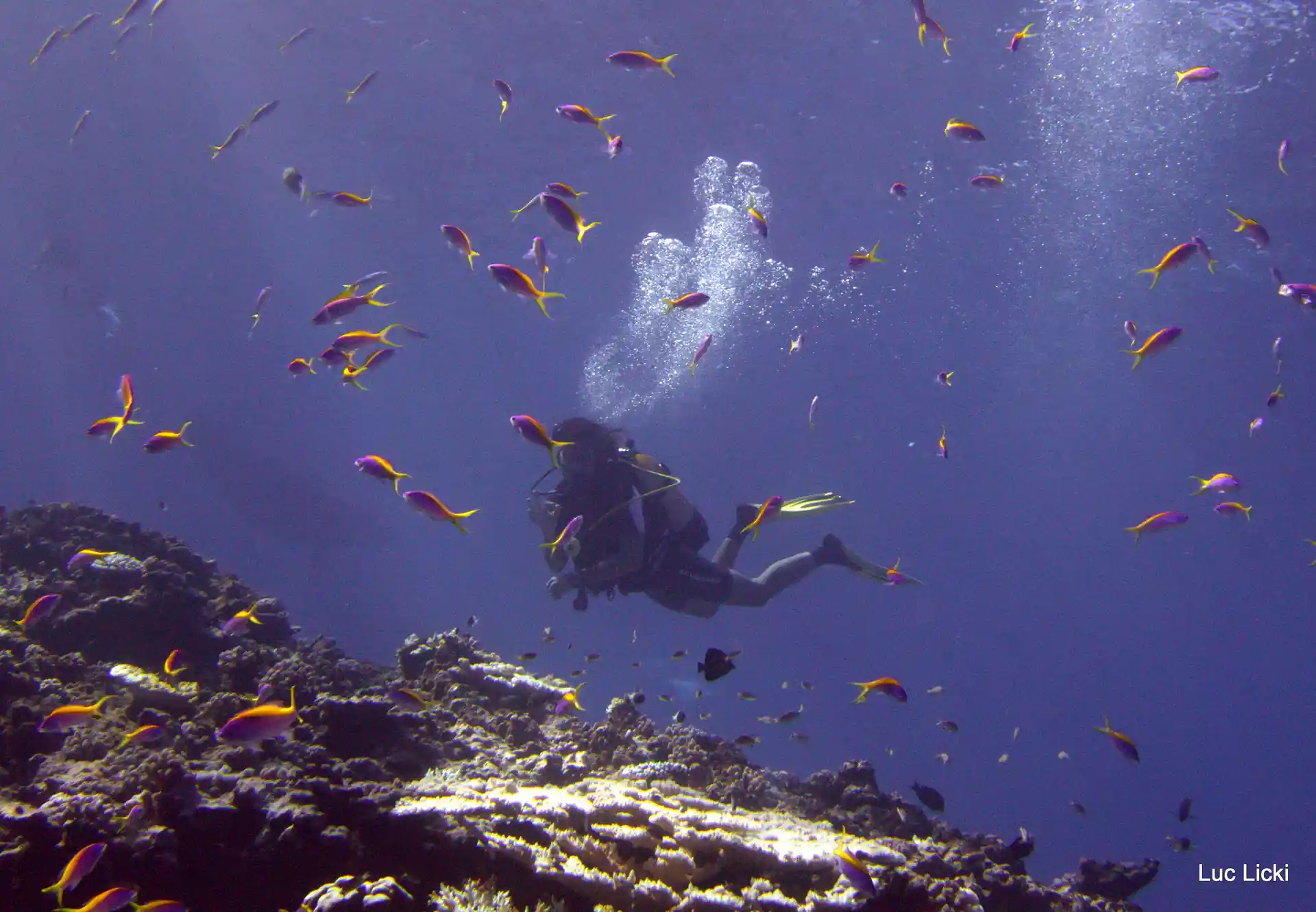 Photo de l'activité