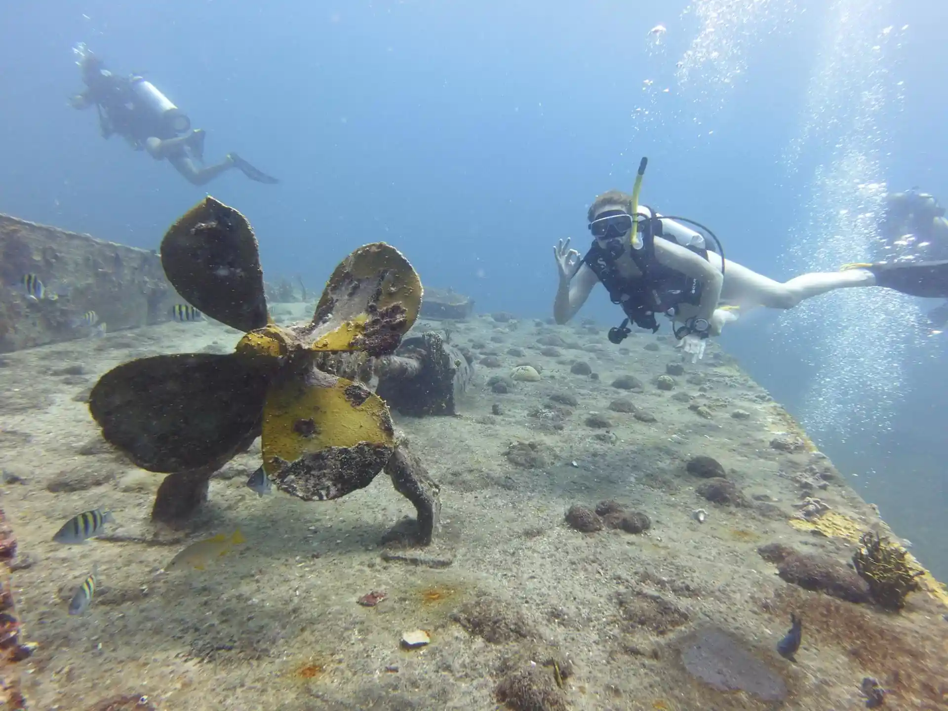 Dive site photo