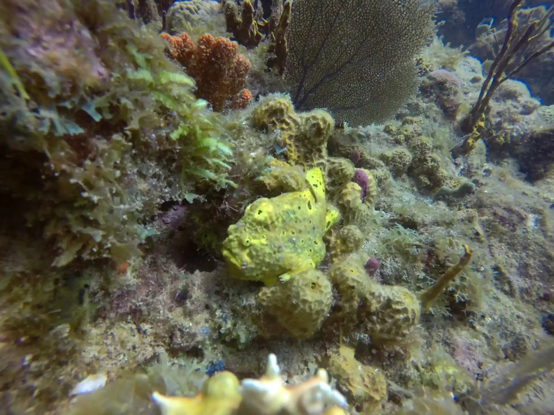 Foto des Tauchplatzes