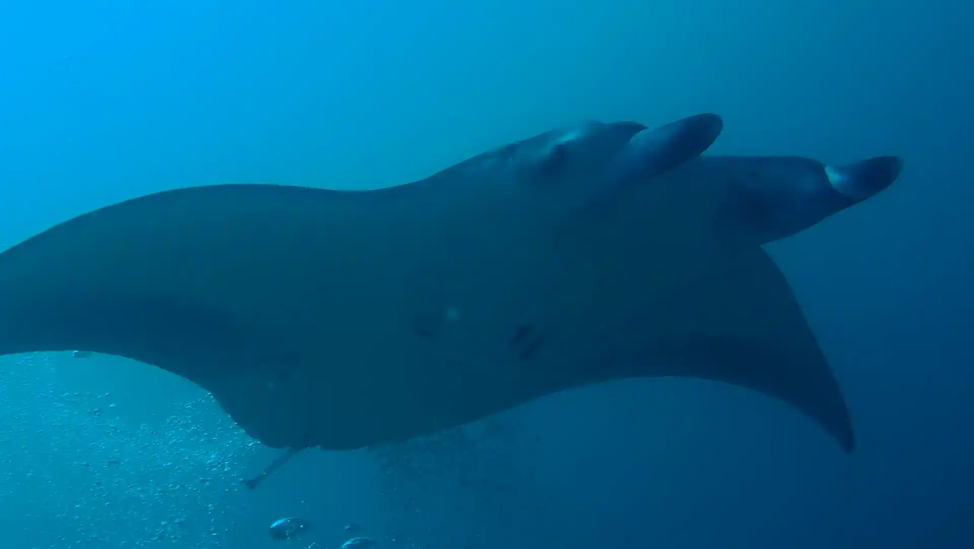 Dive shop photo