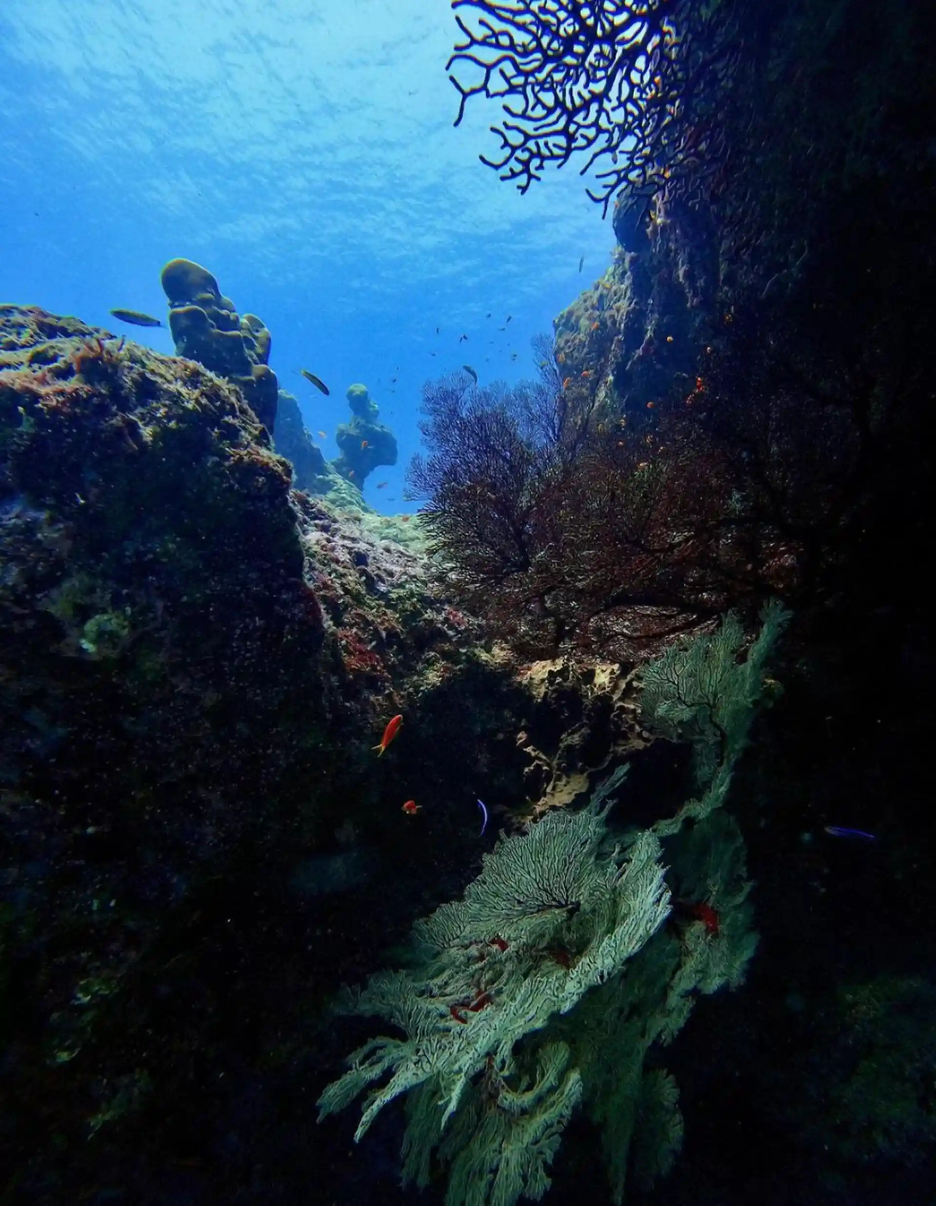 Dive site photo