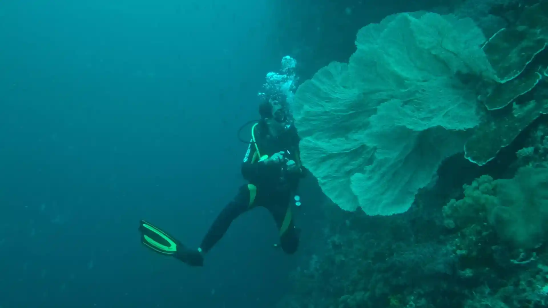 Foto del sitio de buceo