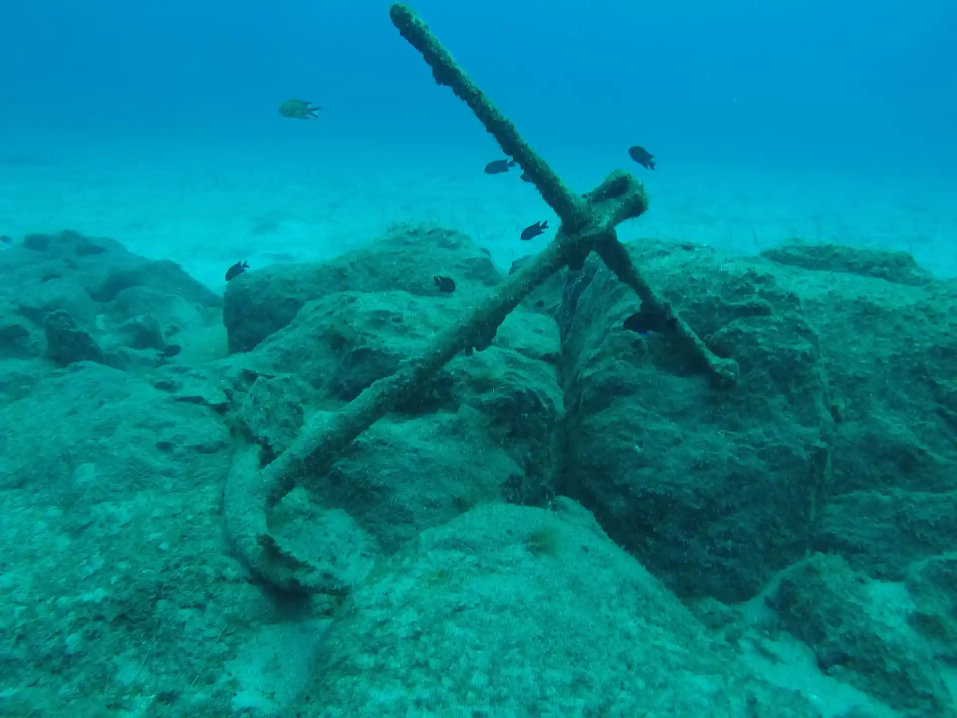 Photo de l'activité