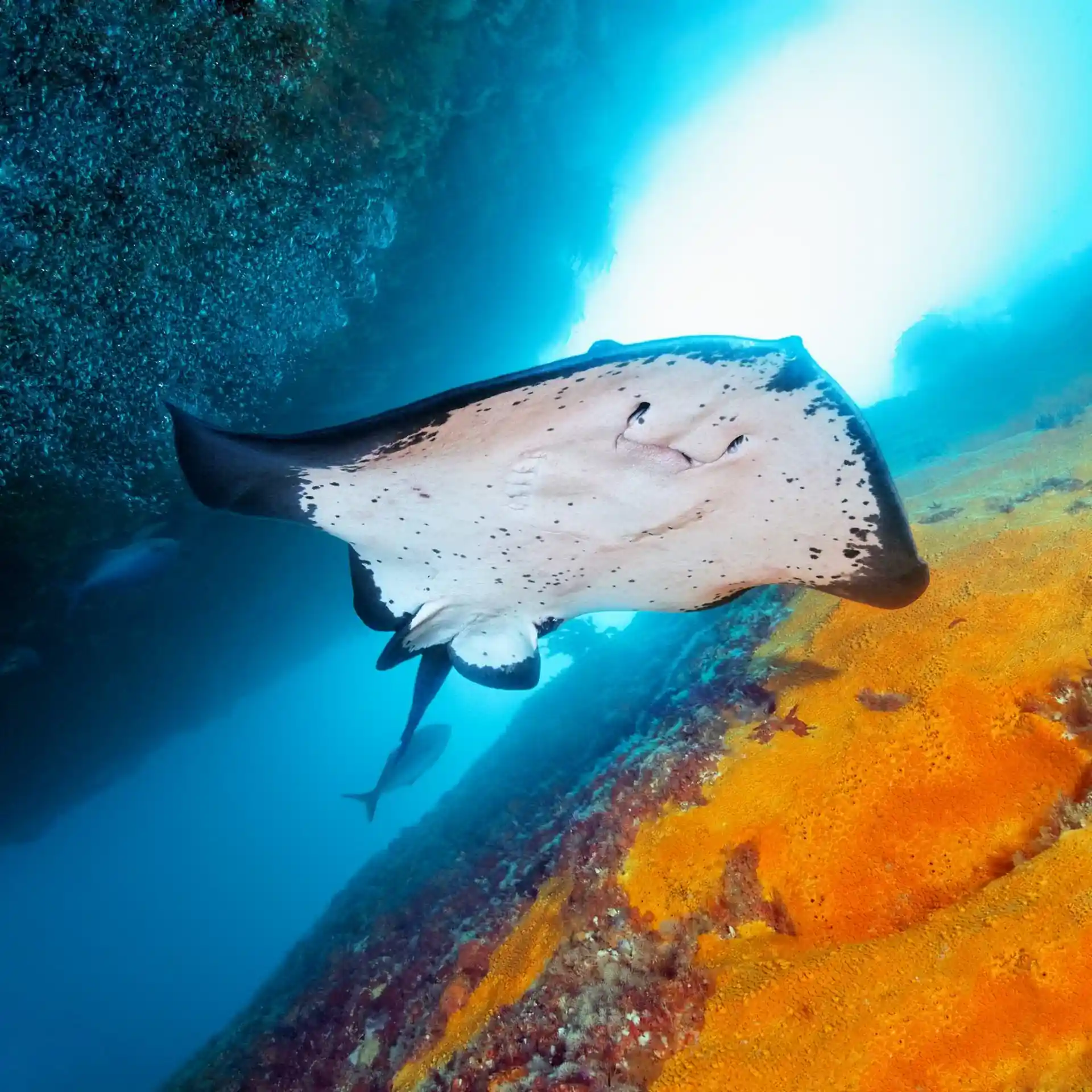 Dive site photo