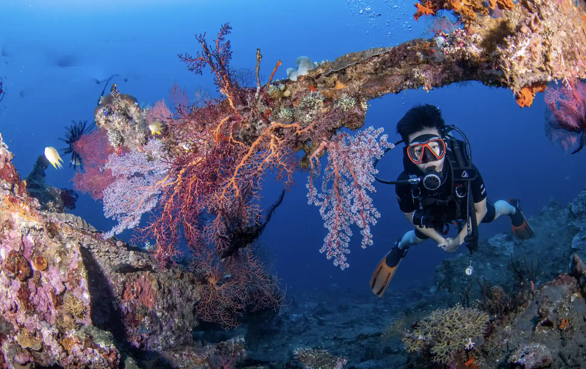 Dive shop photo