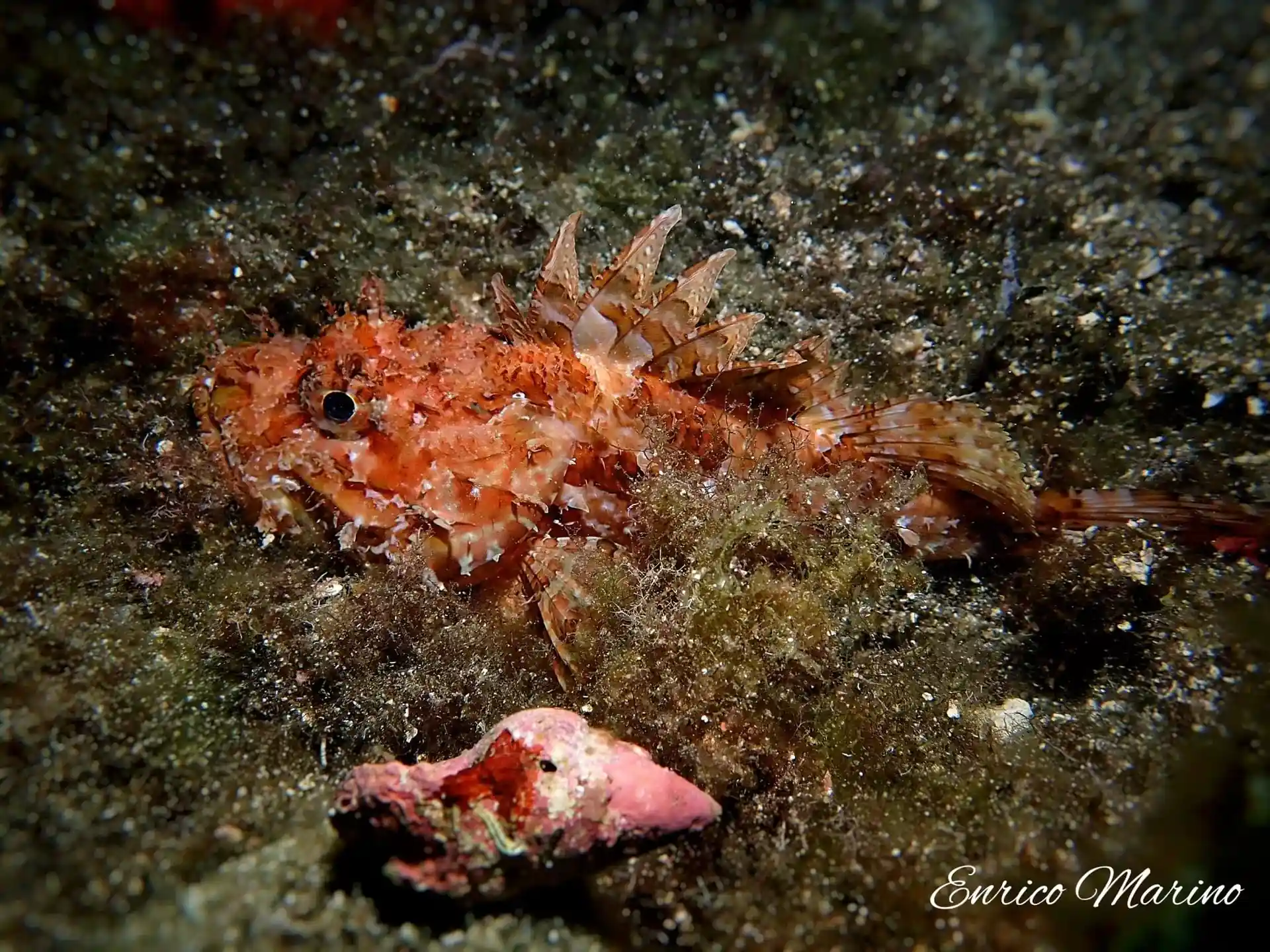 Dive site photo