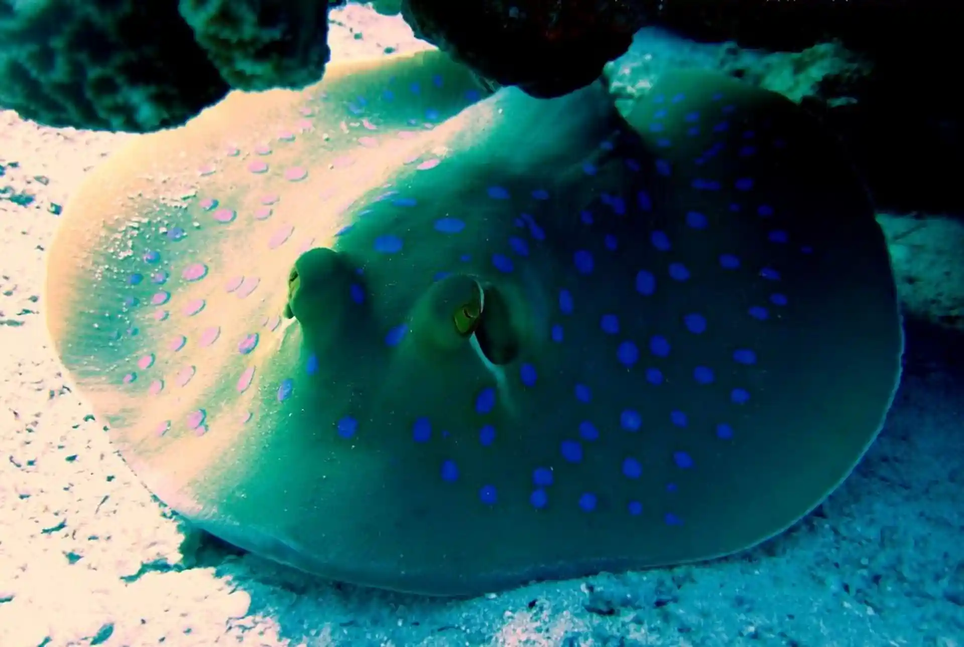 Foto de la actividad