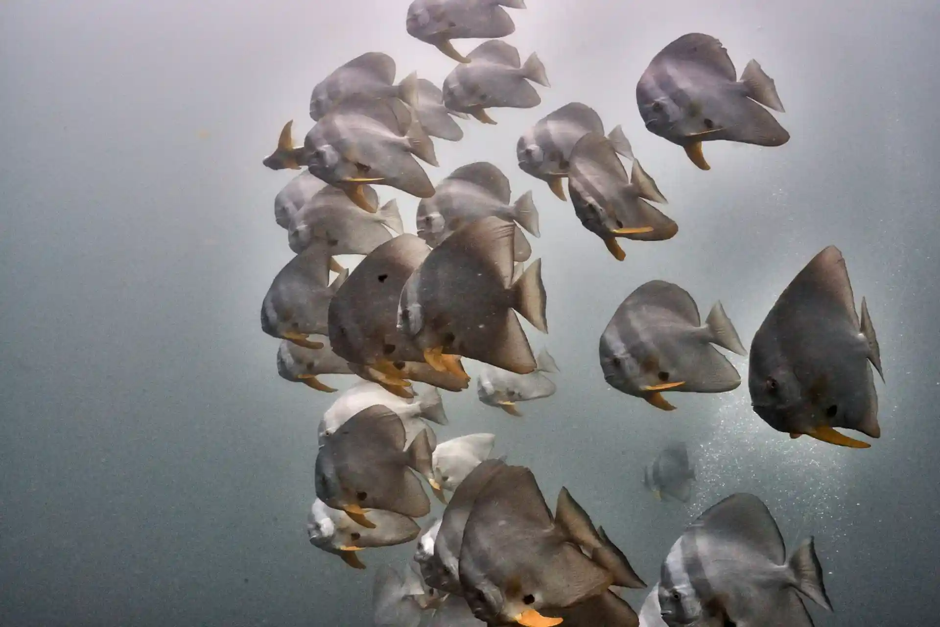 Dive site photo
