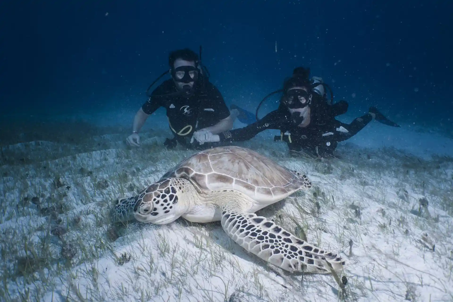 ダイビングサイトの写真