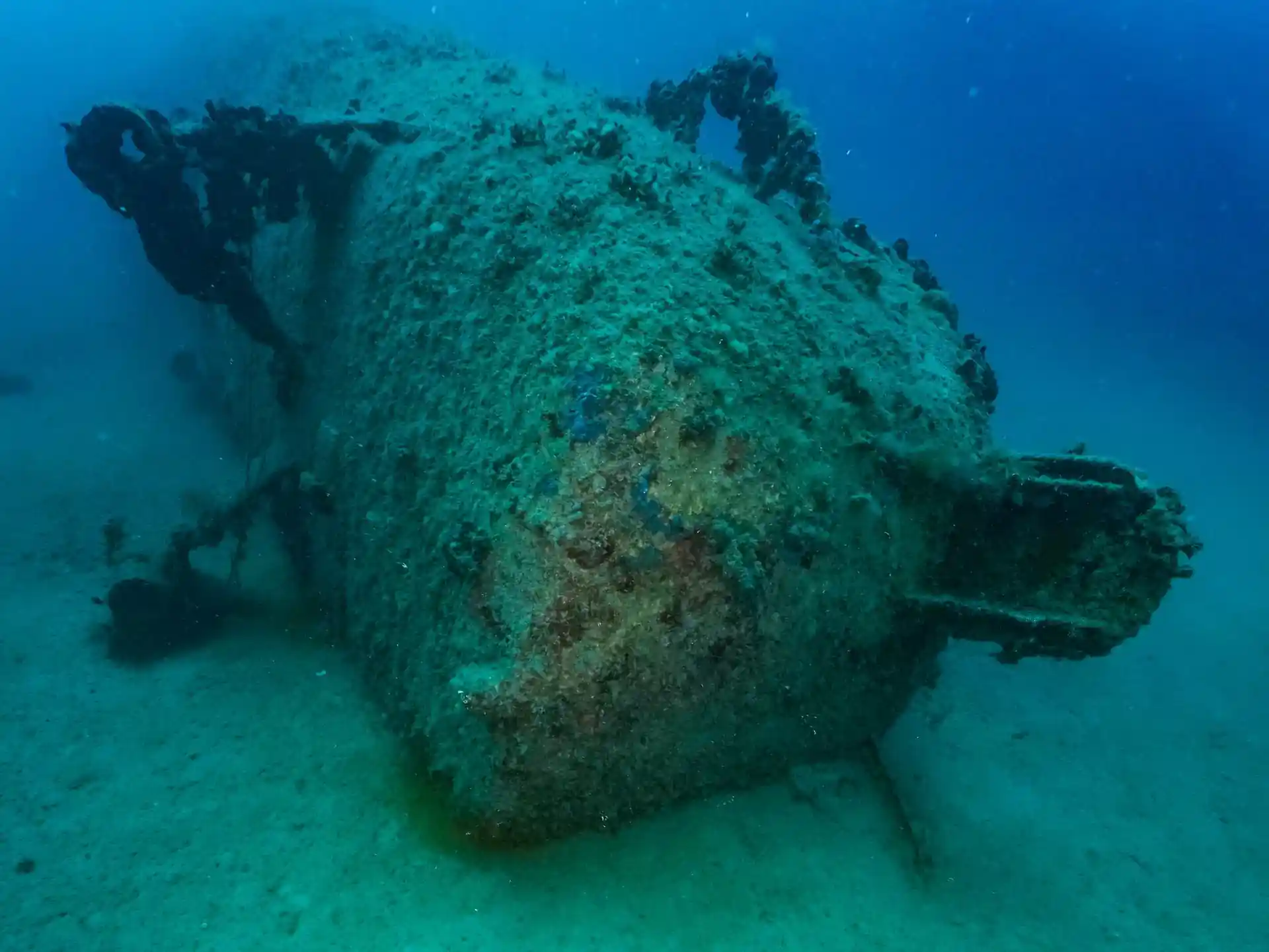 ダイビングサイトの写真