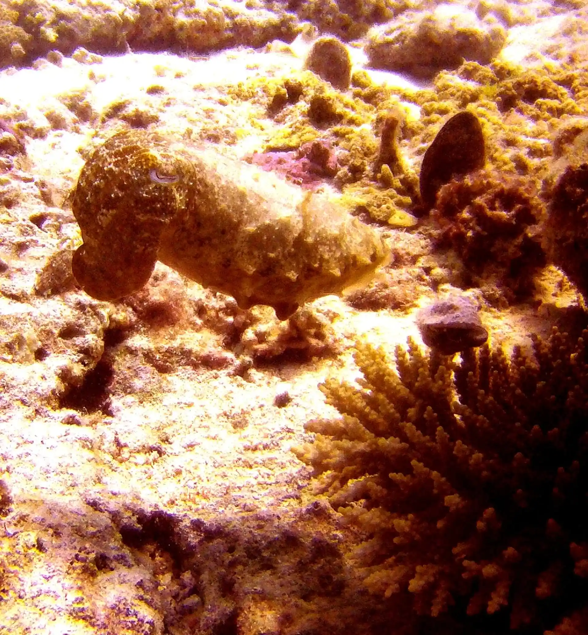 Foto des Tauchplatzes