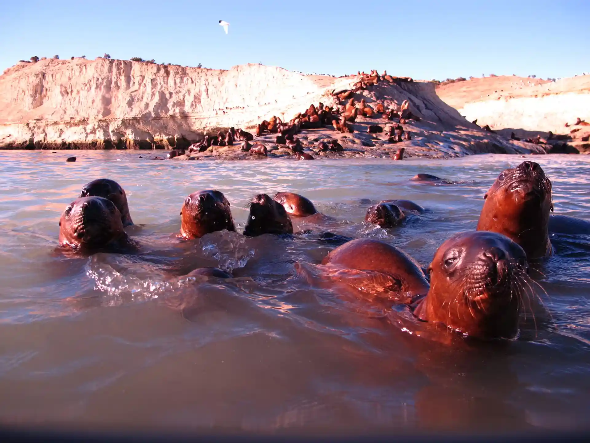 ダイビングサイトの写真