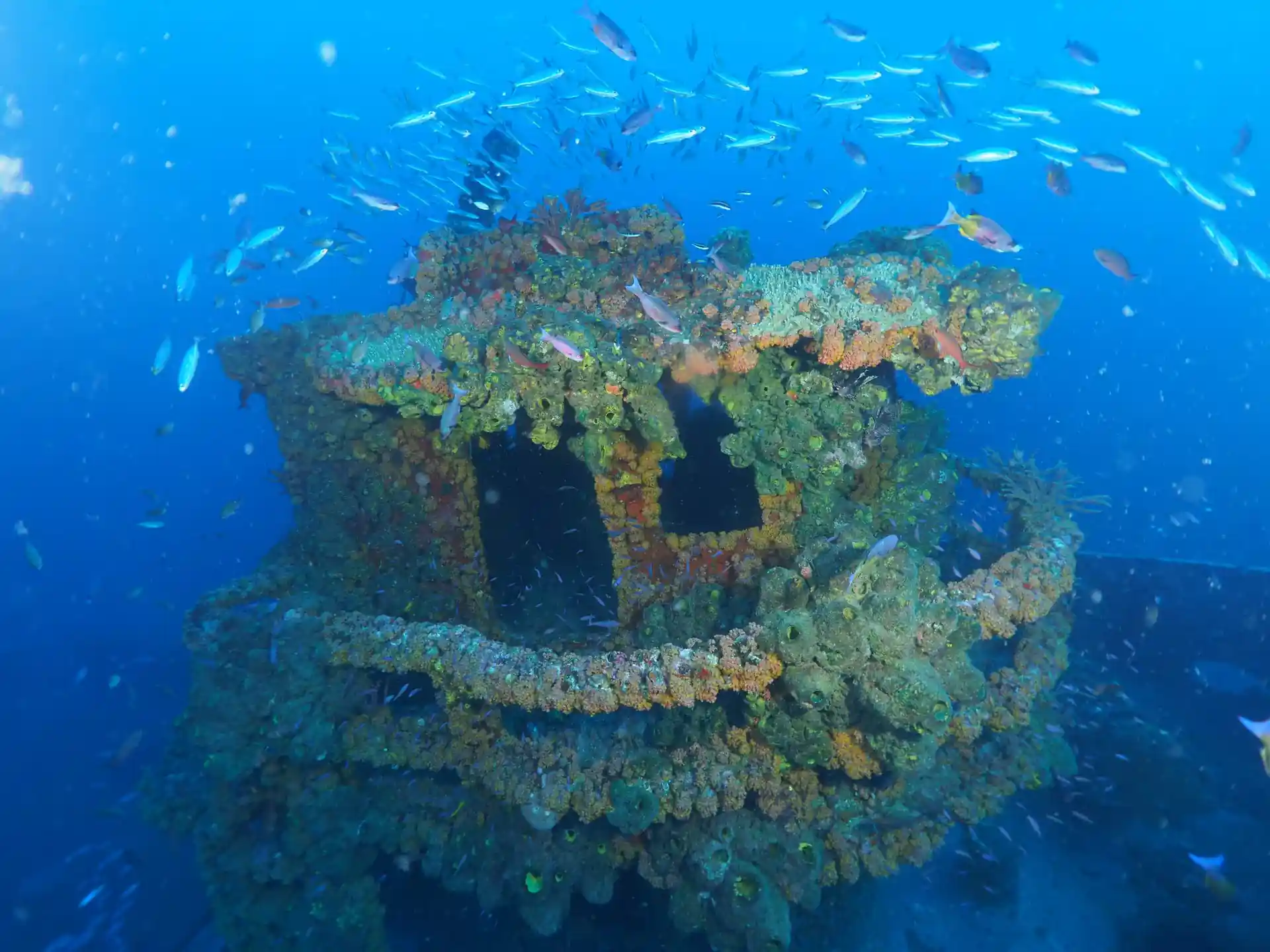 Dive site photo
