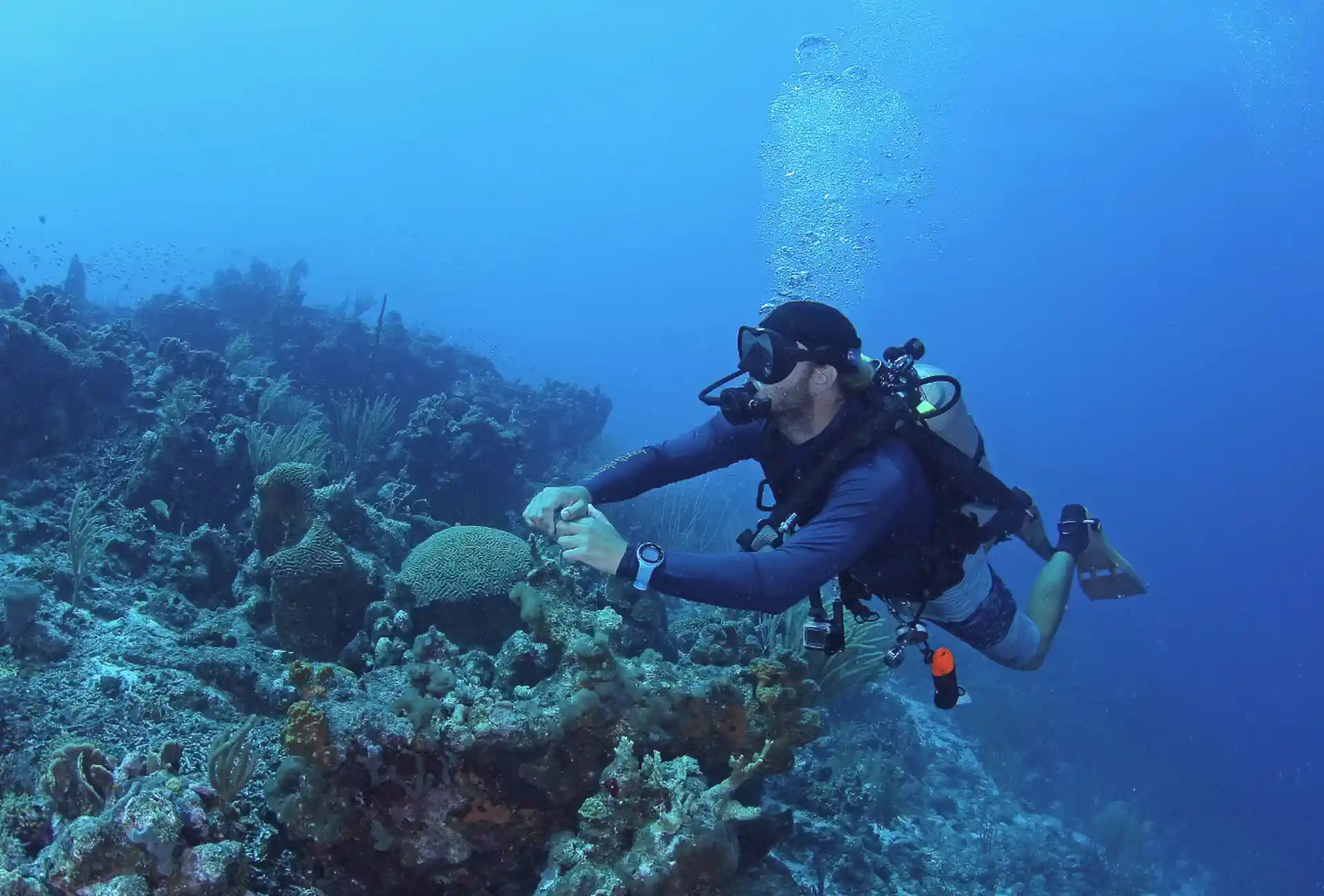 always on the lookout for something cool