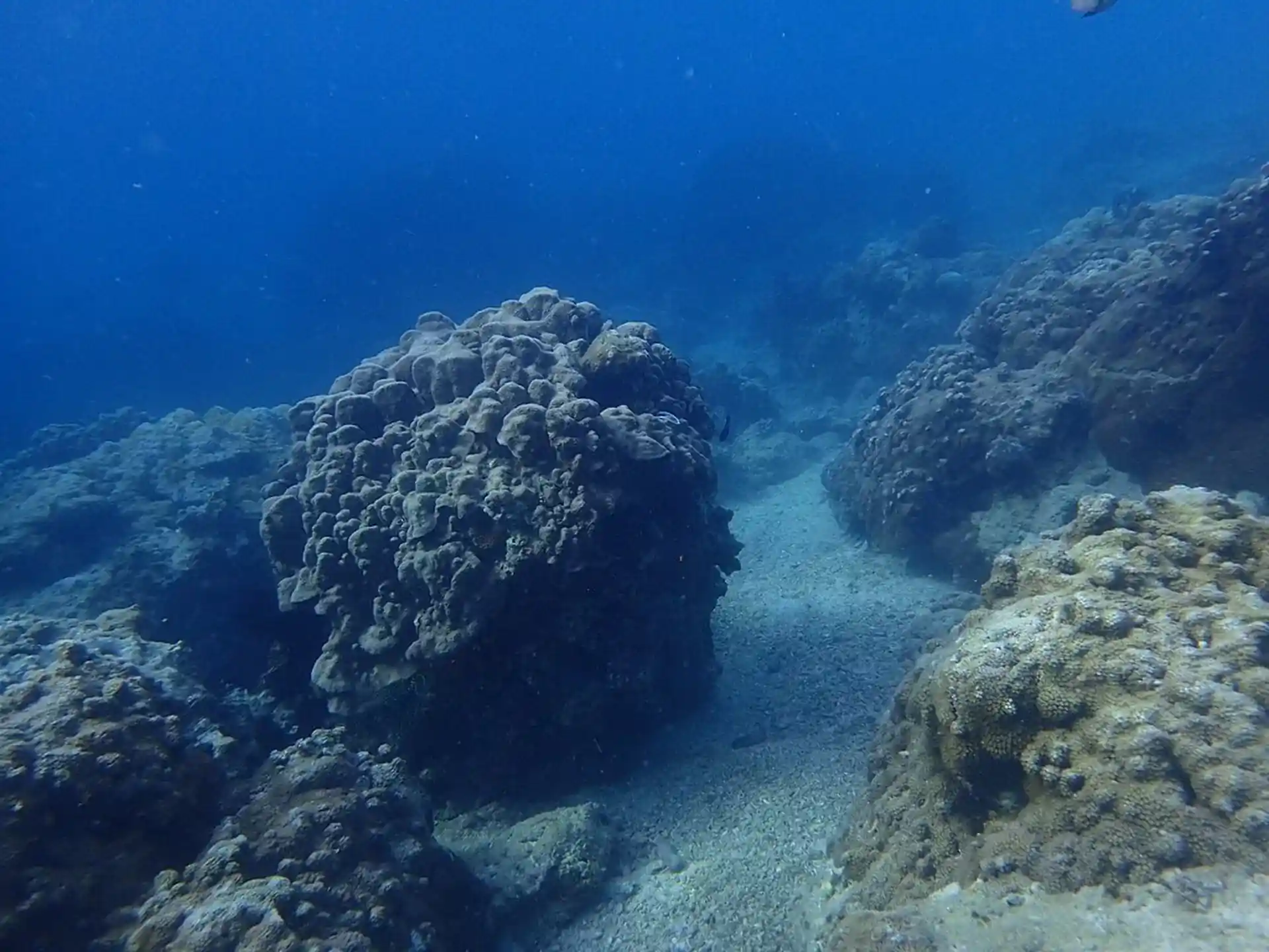 Dive site photo