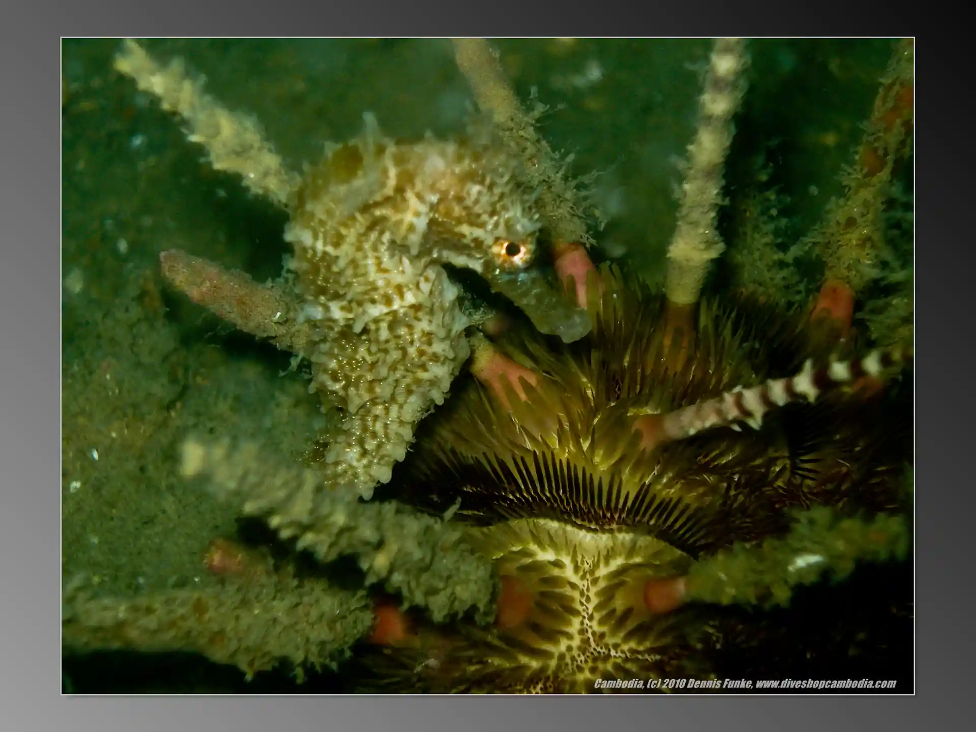 다이빙 포인트 사진