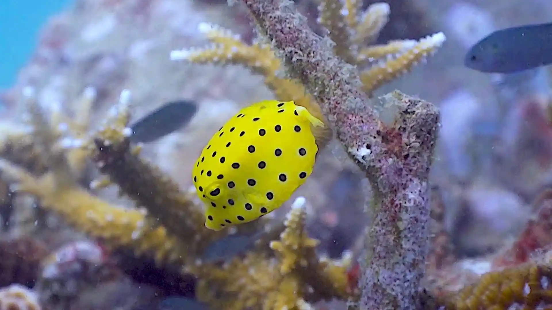 Dive site photo