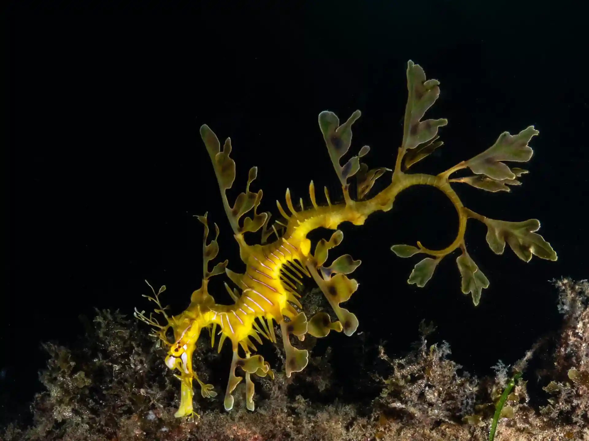 Dive site photo