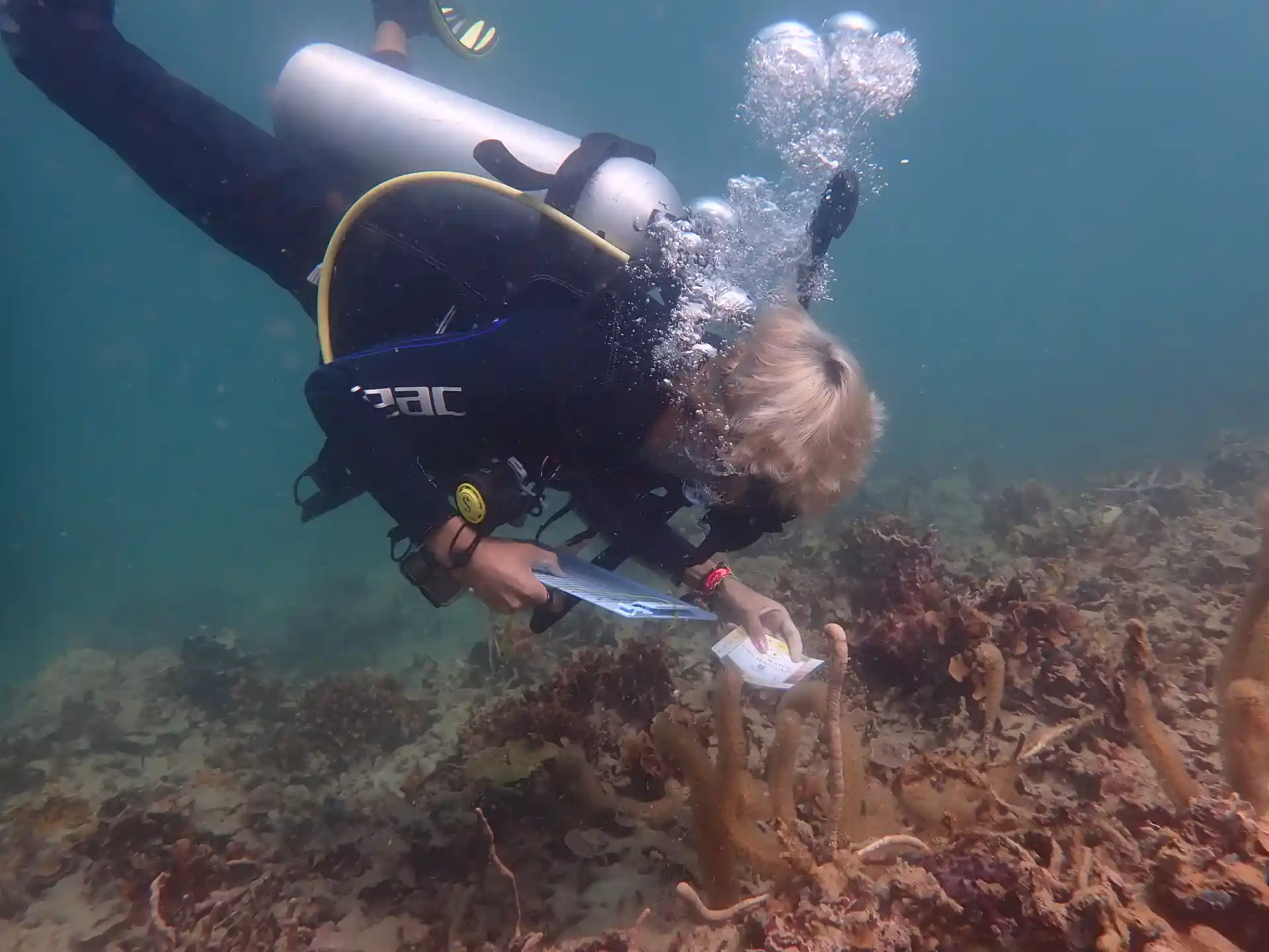 Photo de l'activité