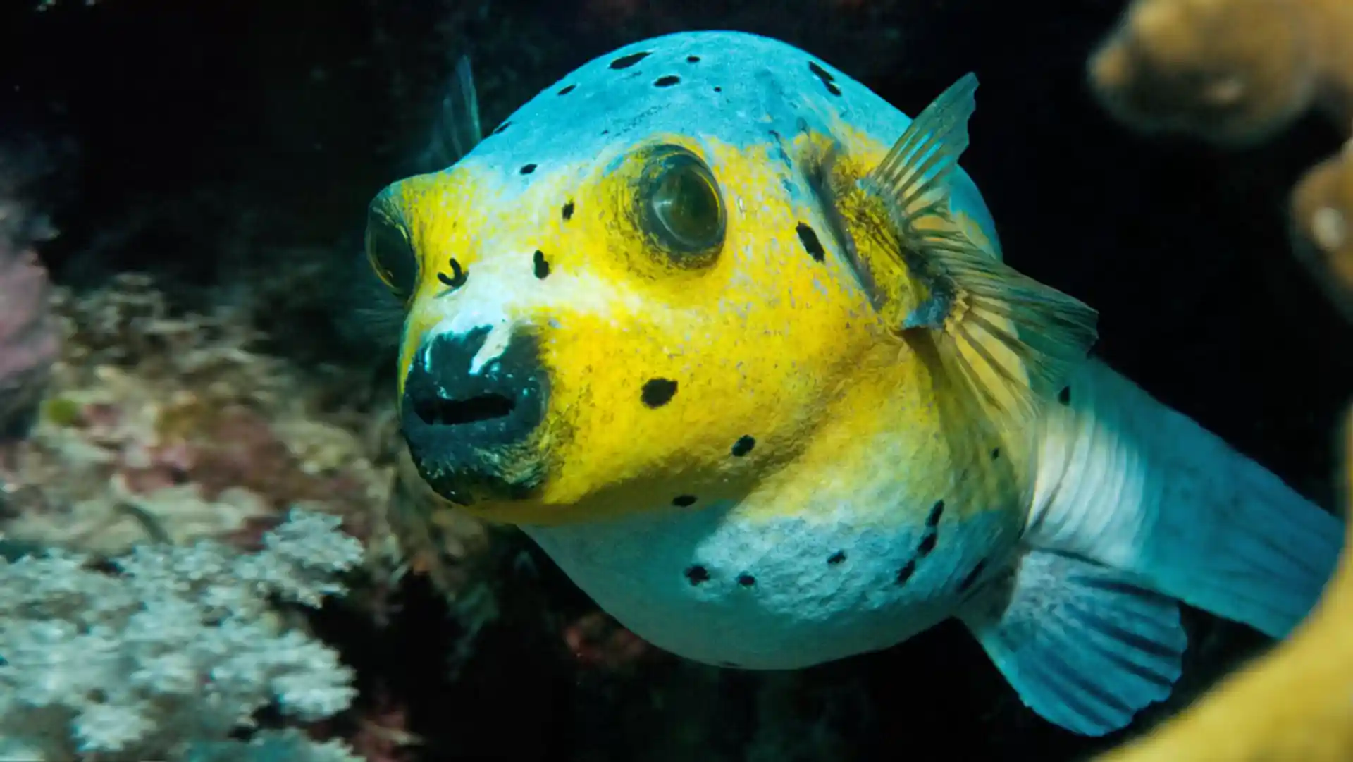 Dive site photo