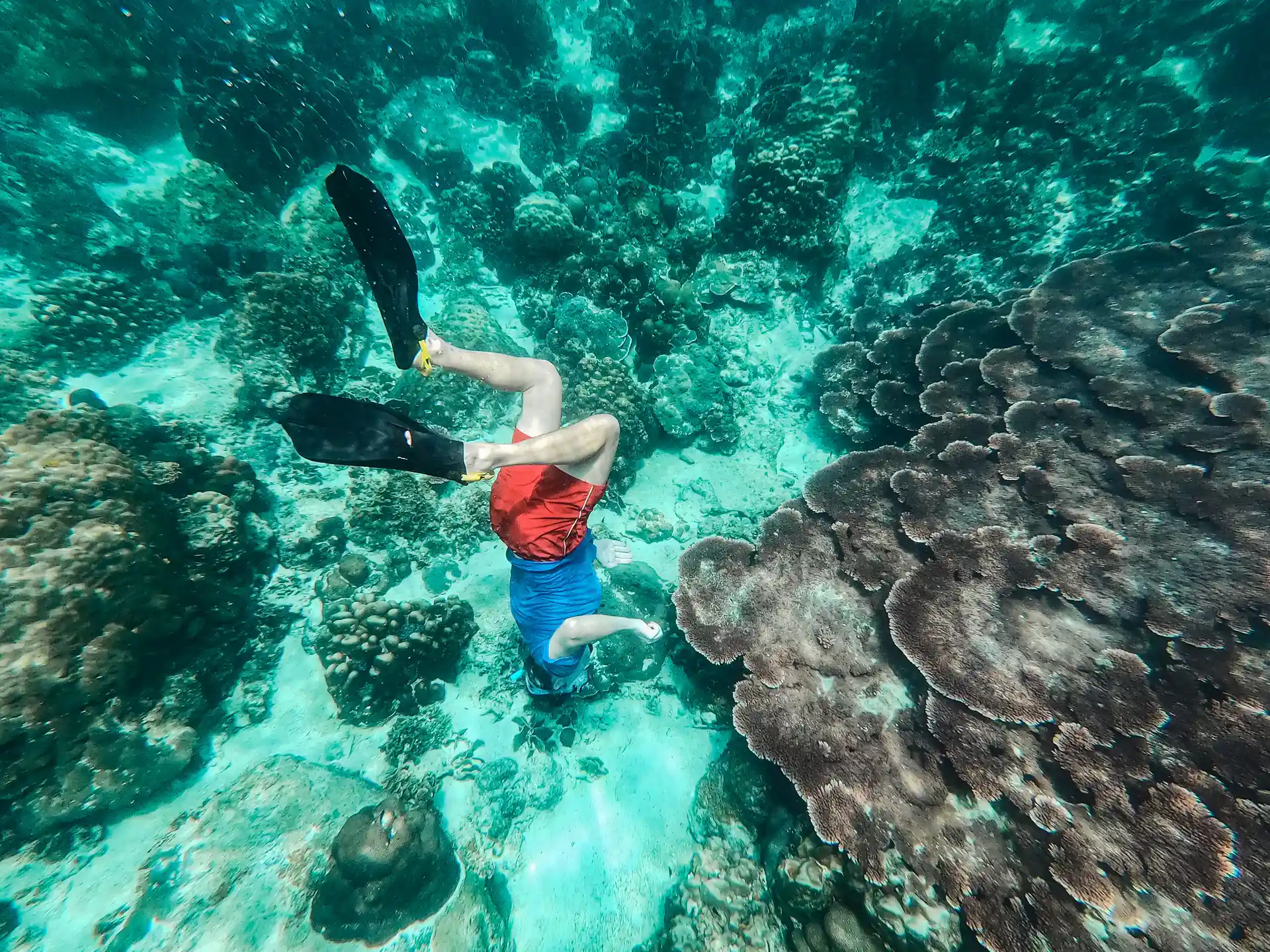 Dive shop photo