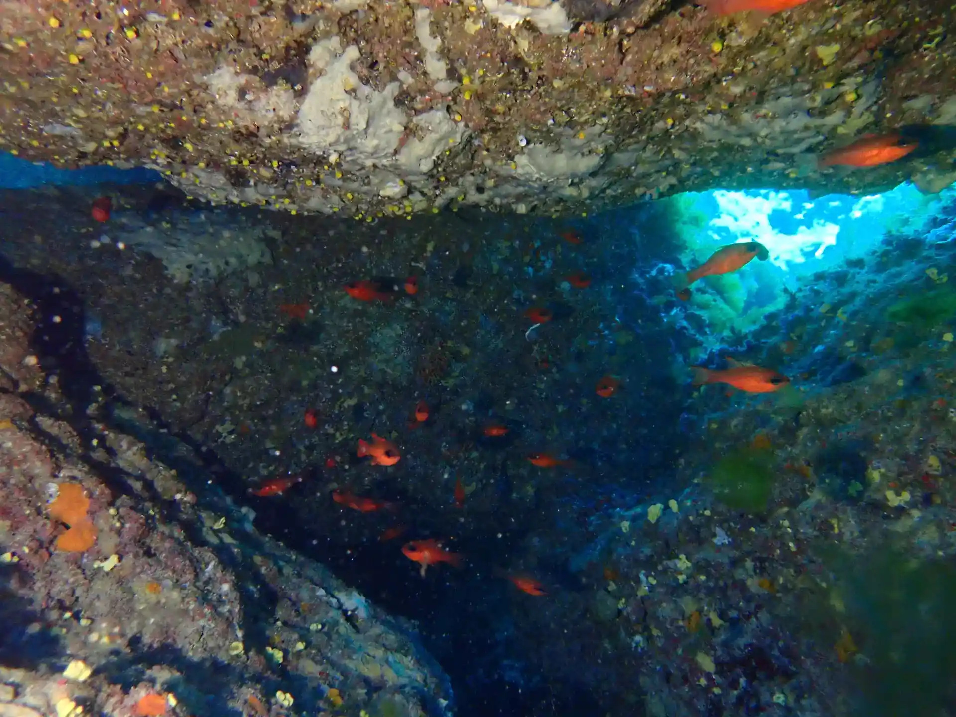Foto del sitio de buceo