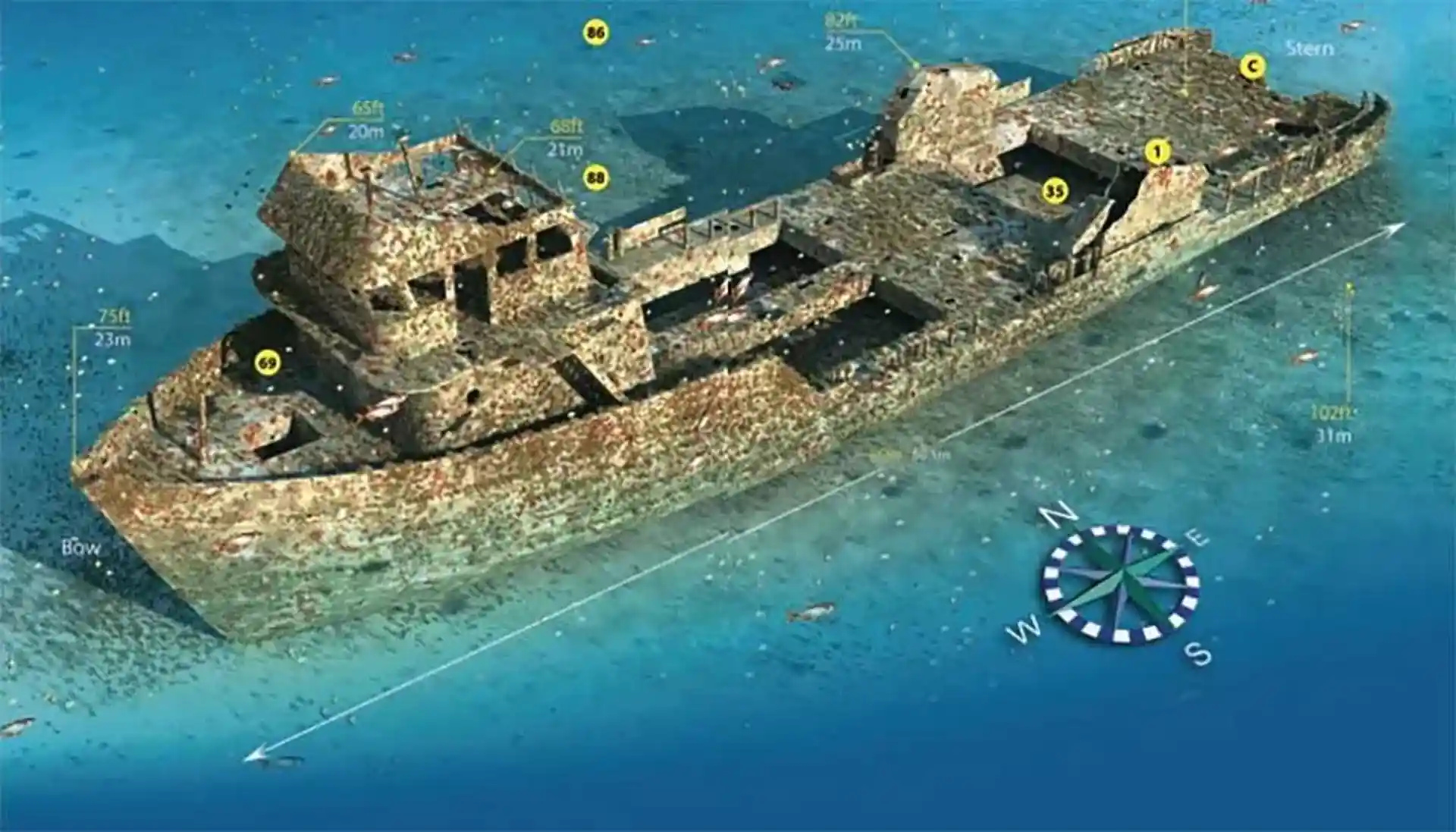 Dive site photo