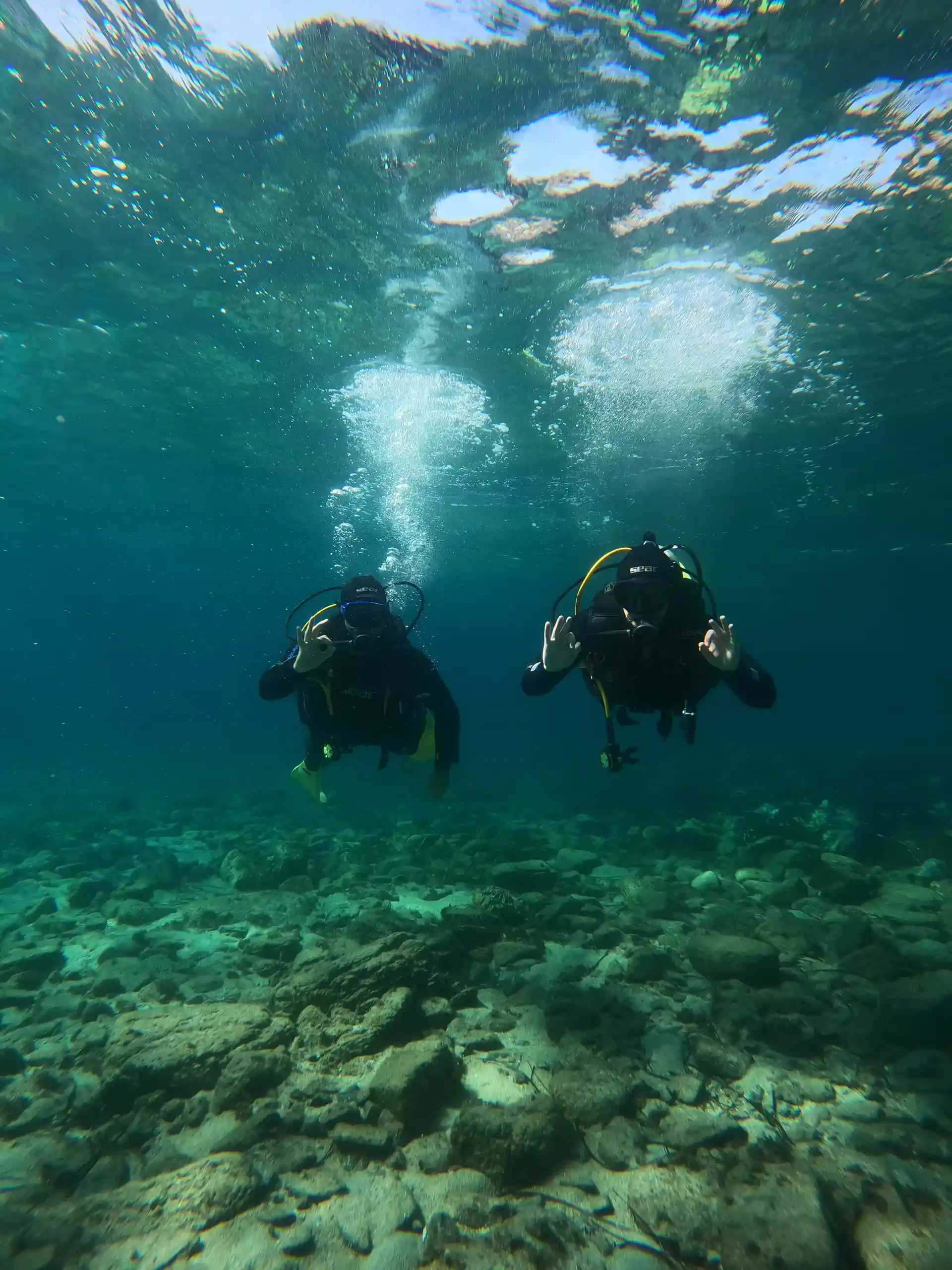 Foto de la actividad