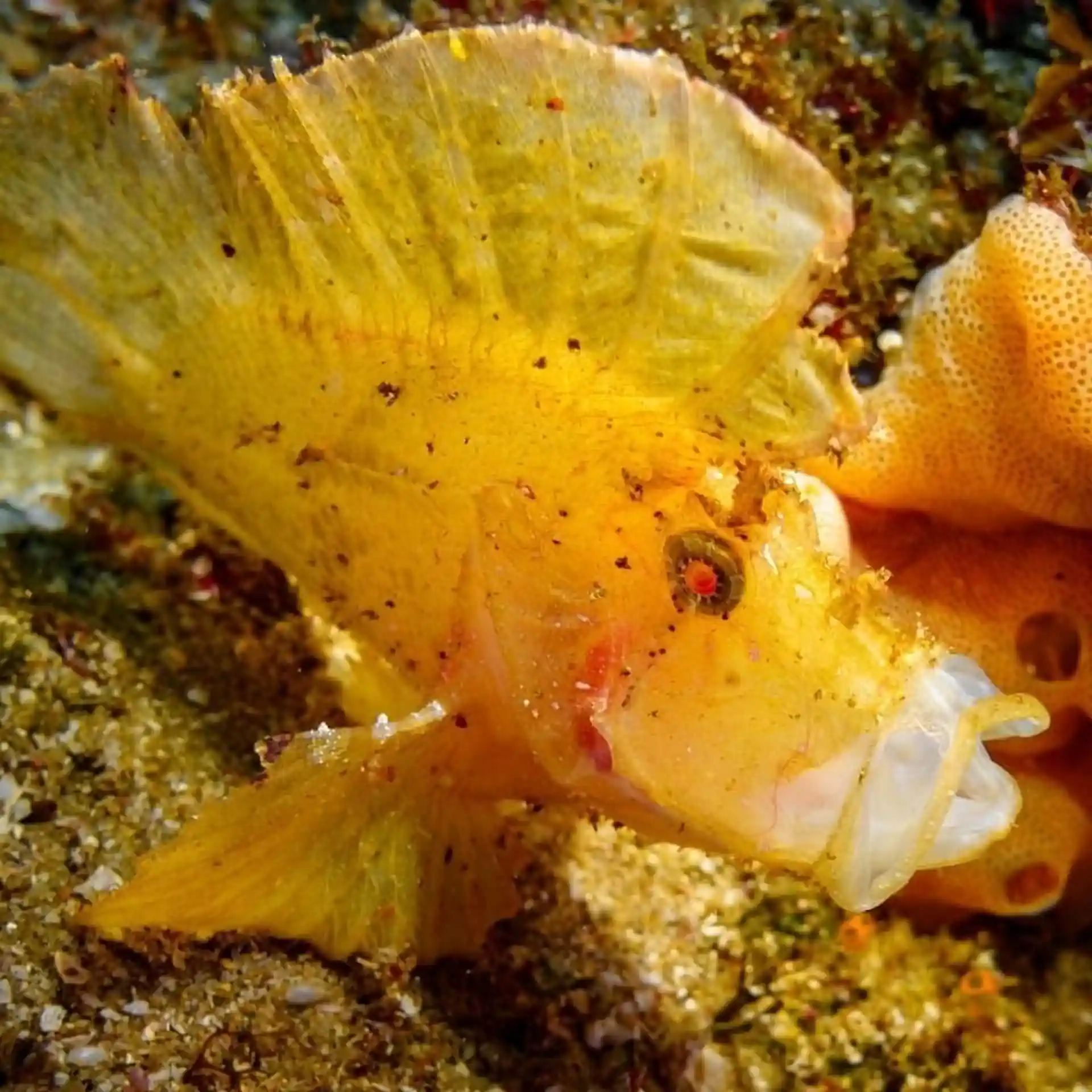 ダイビングサイトの写真