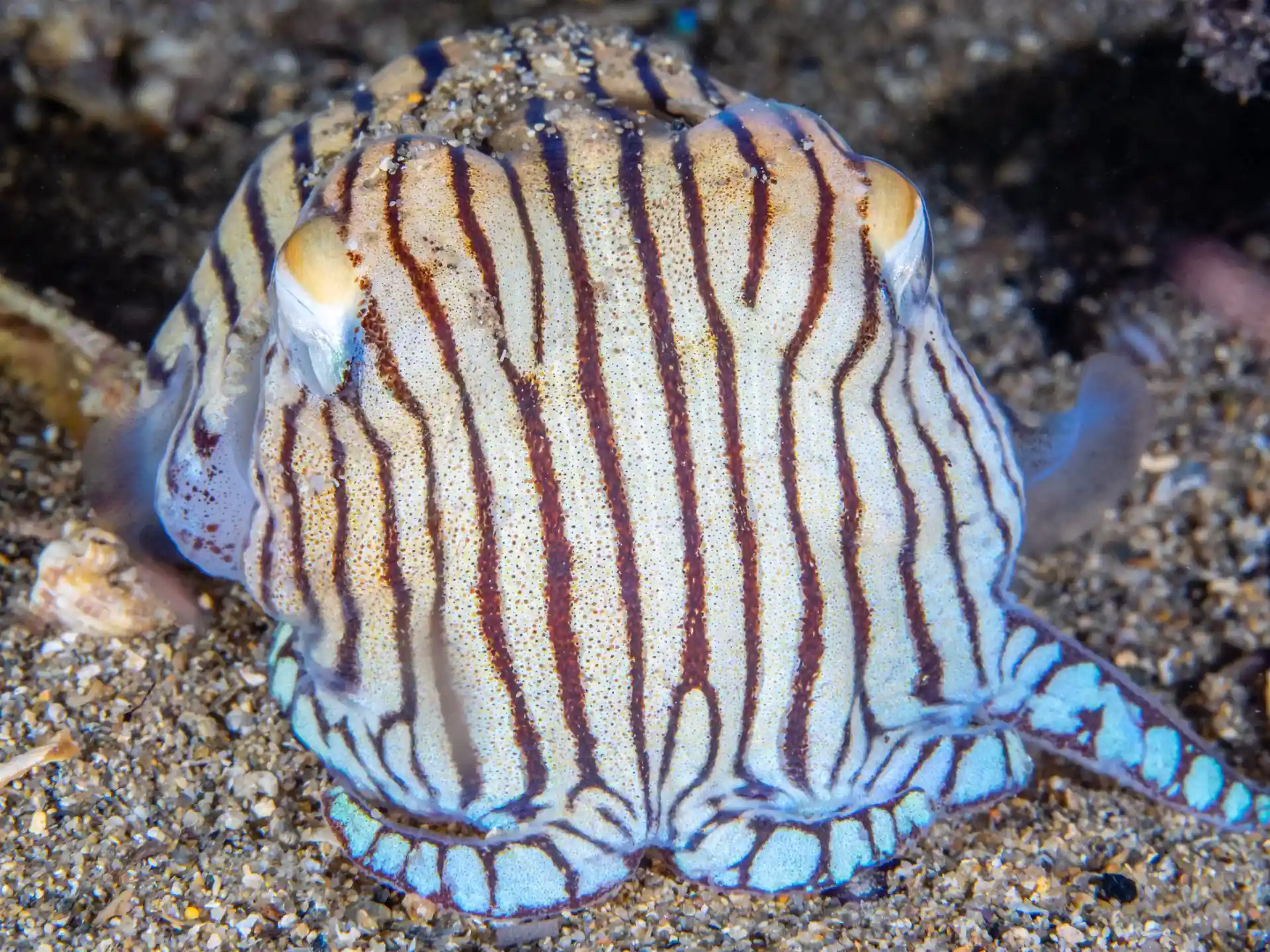 Dive site photo
