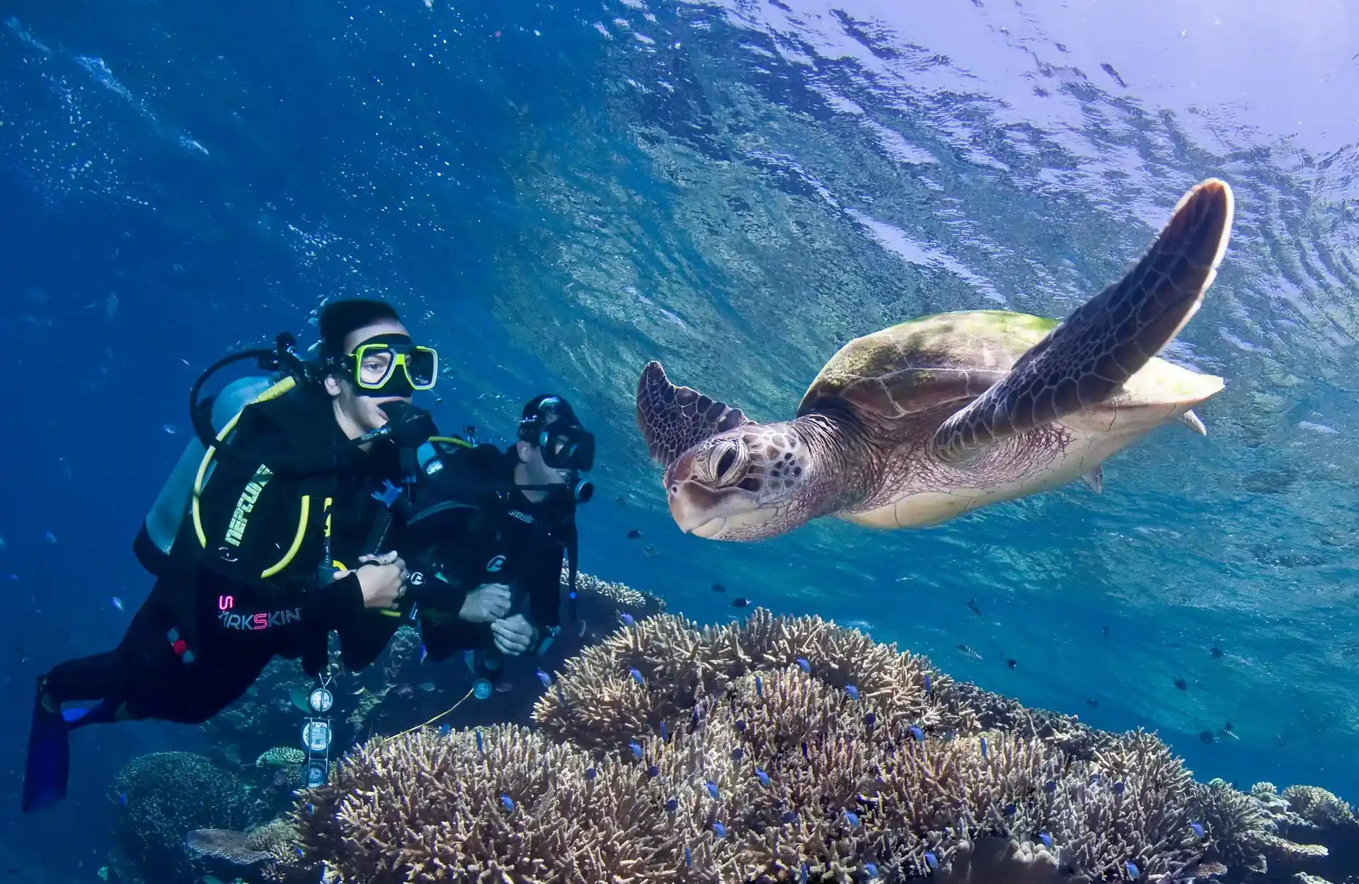 Dive site photo