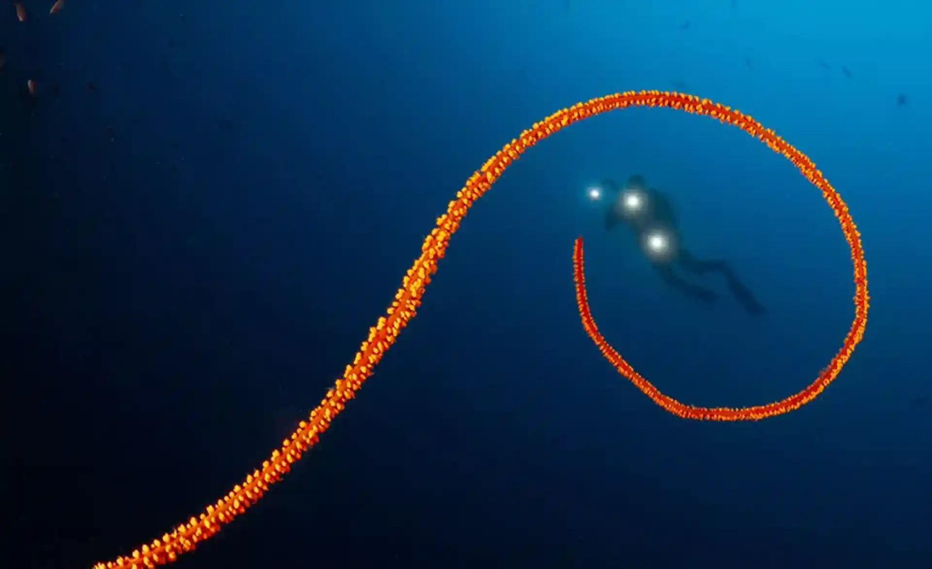 Foto des Tauchplatzes