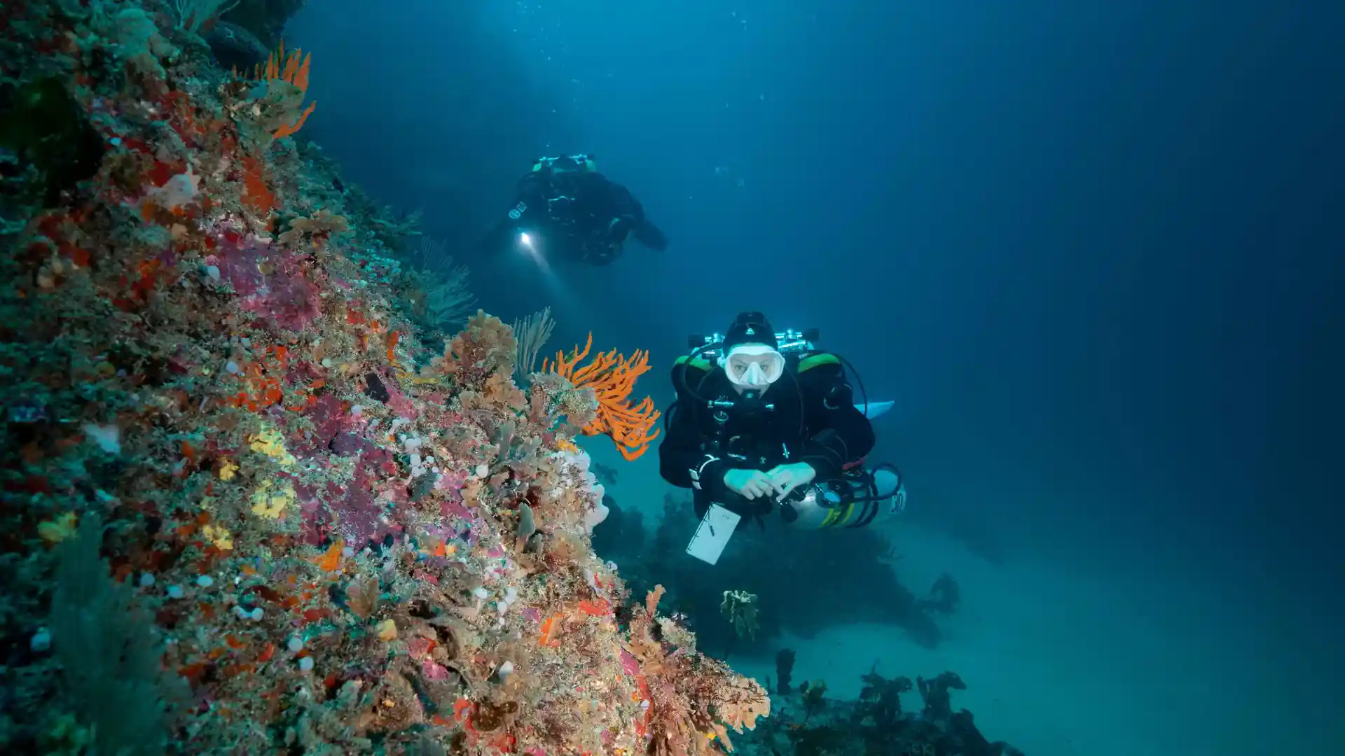 Dive site photo