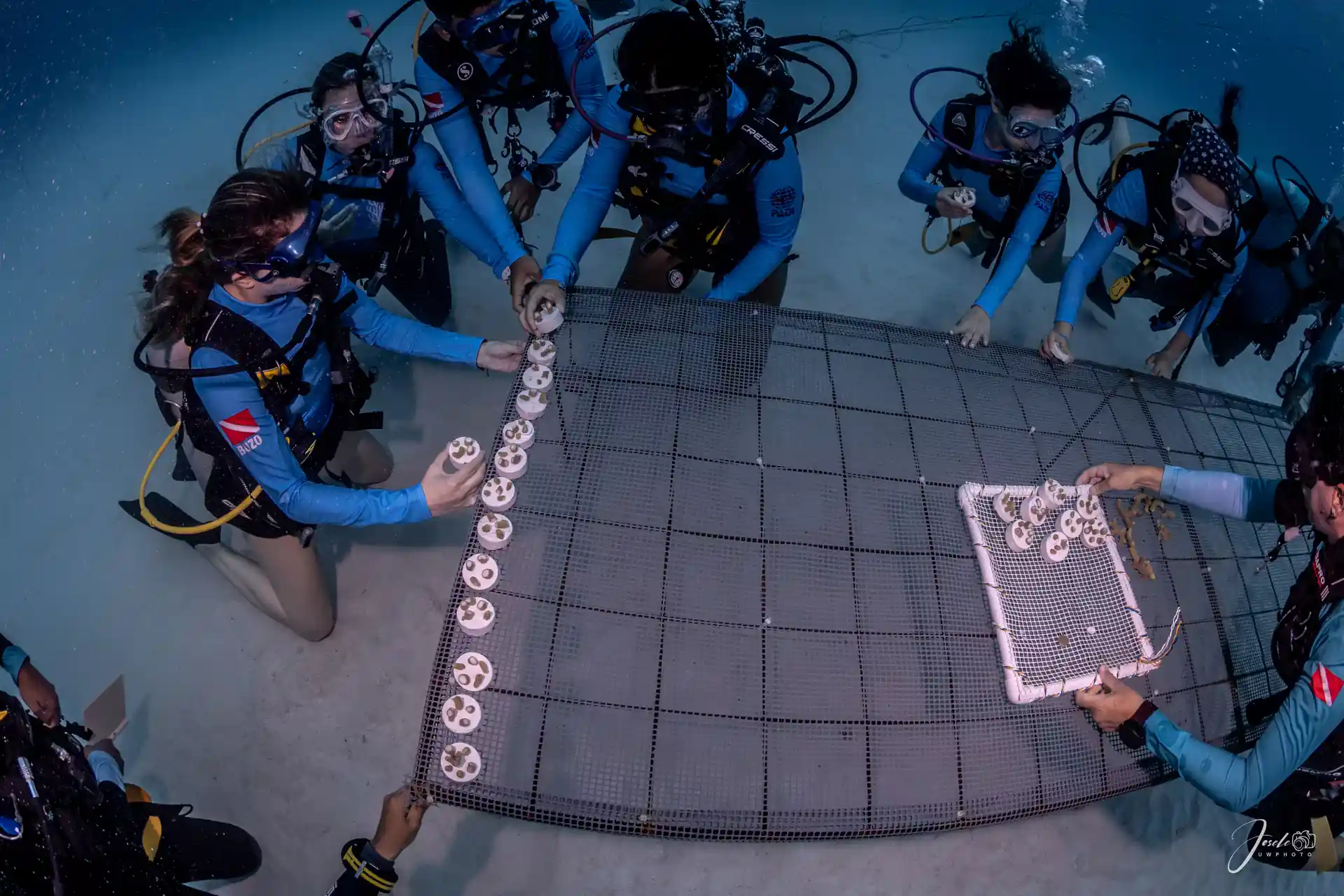 Support coral reef restoration in San Andrés Island and directly assist marine biologists in giving these vital ecosystems a second chance.