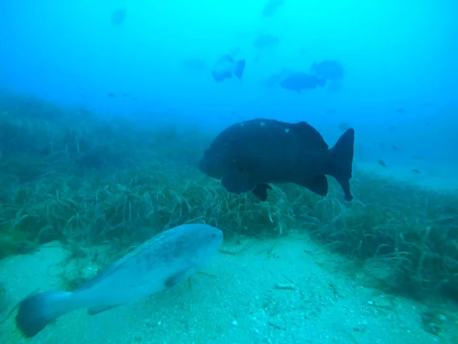 Dive site photo