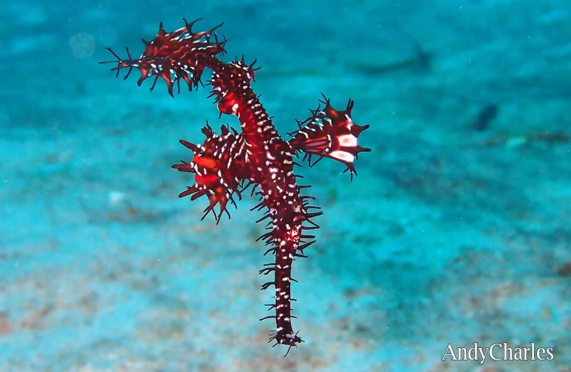 Foto de la actividad