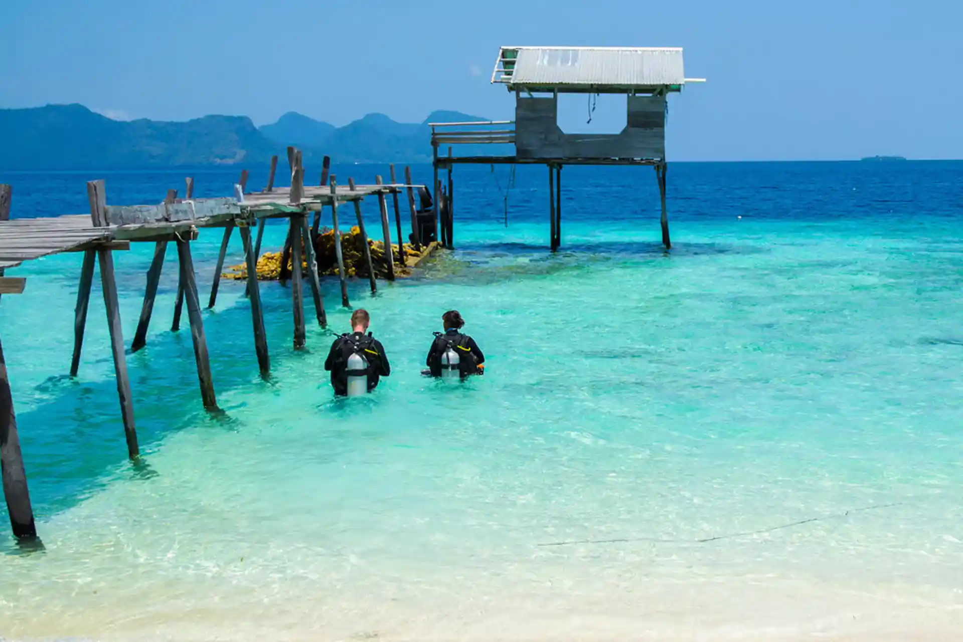 Divers in the water getting ready for a shore dive