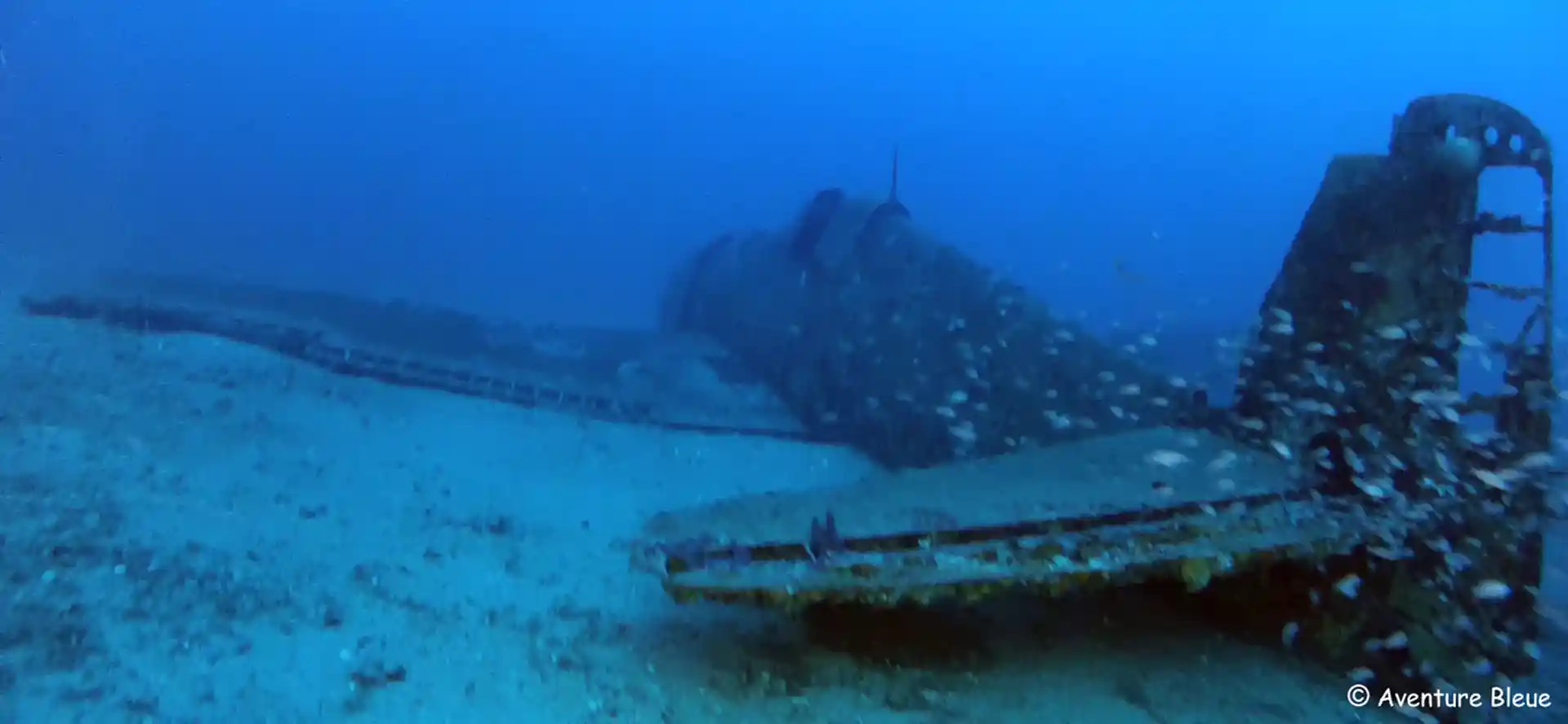 Foto des Tauchplatzes