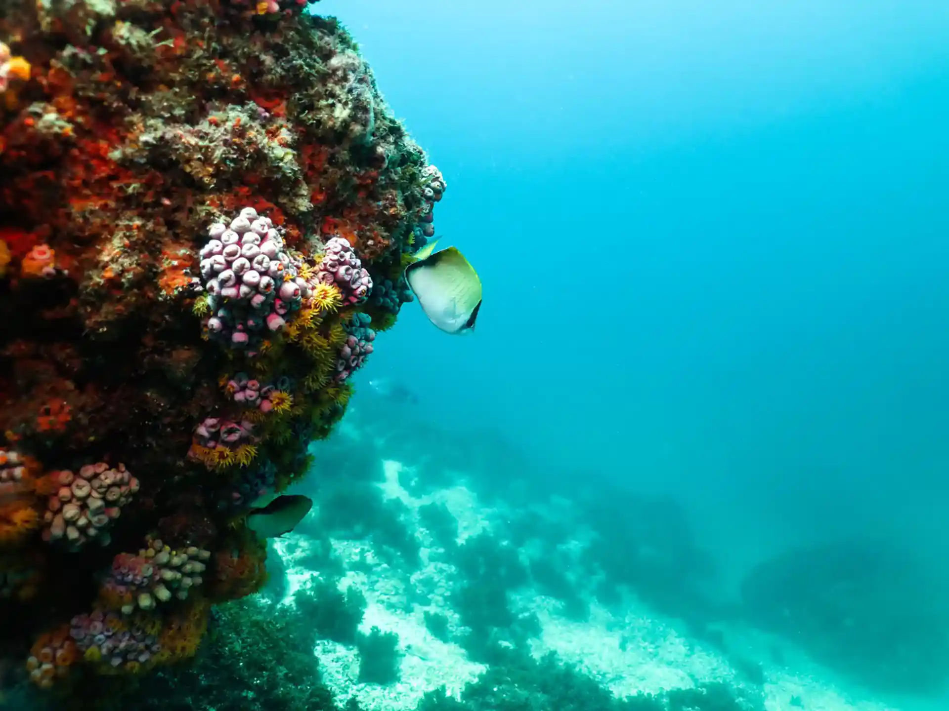 Photo de l'activité